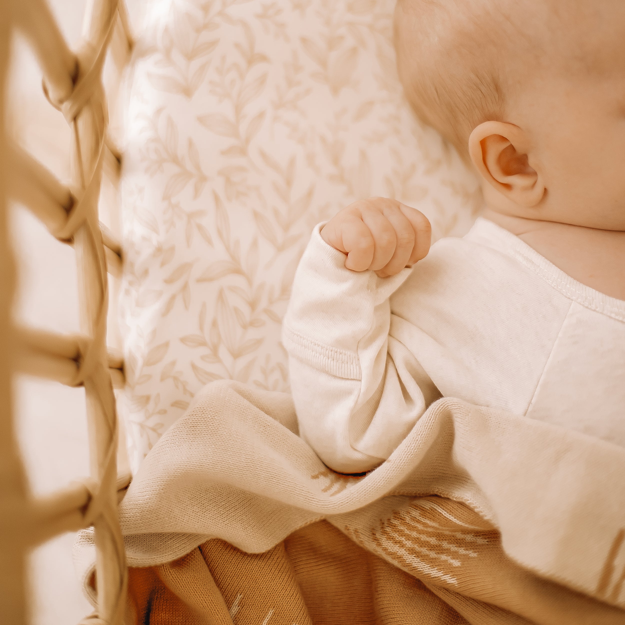 Golden Vines Organic Fitted Bassinet Sheet/Change Pad Cover - SECONDS