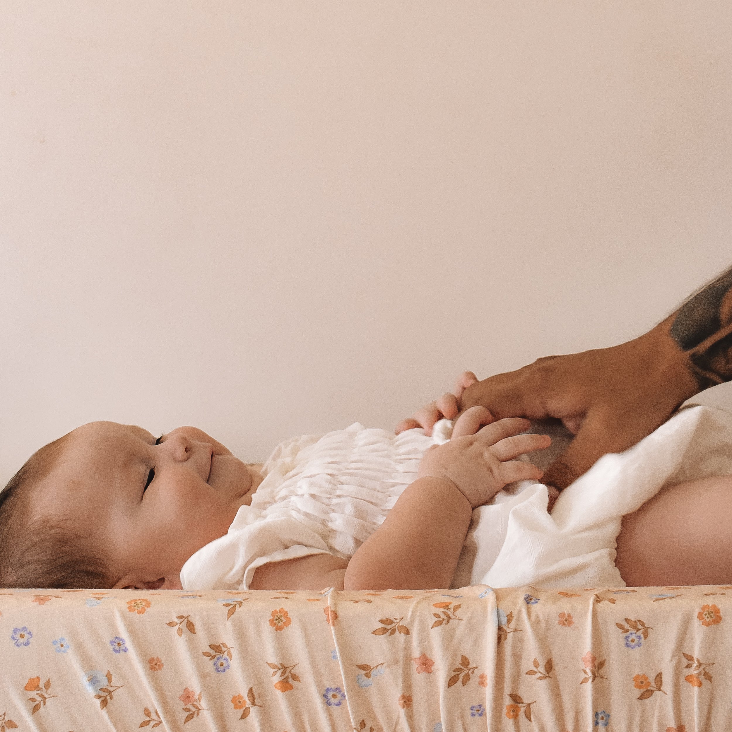 Meadow Organic Fitted Bassinet Sheet/Change Pad Cover