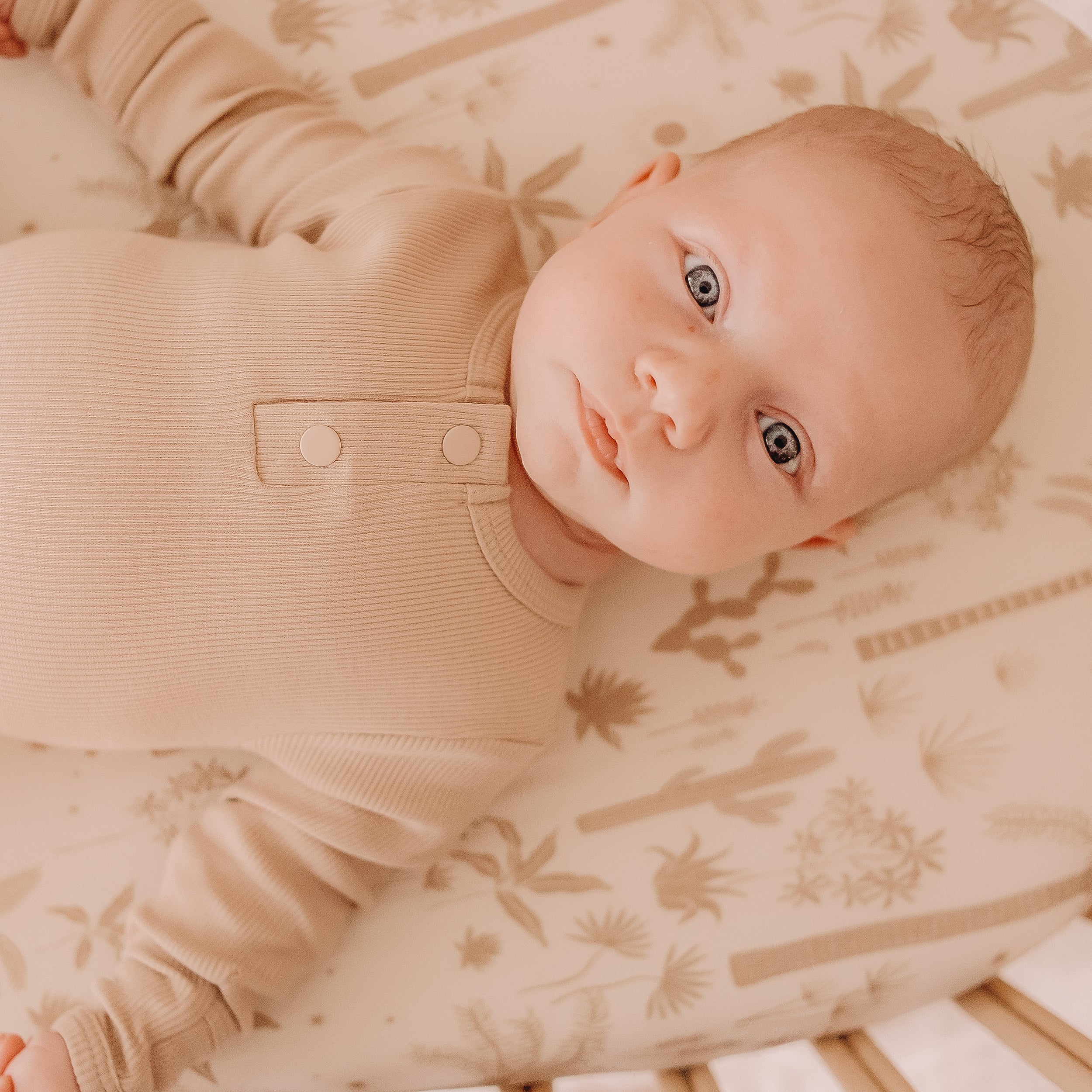 Desert Palms Organic Fitted Bassinet Sheet/Change Pad Cover