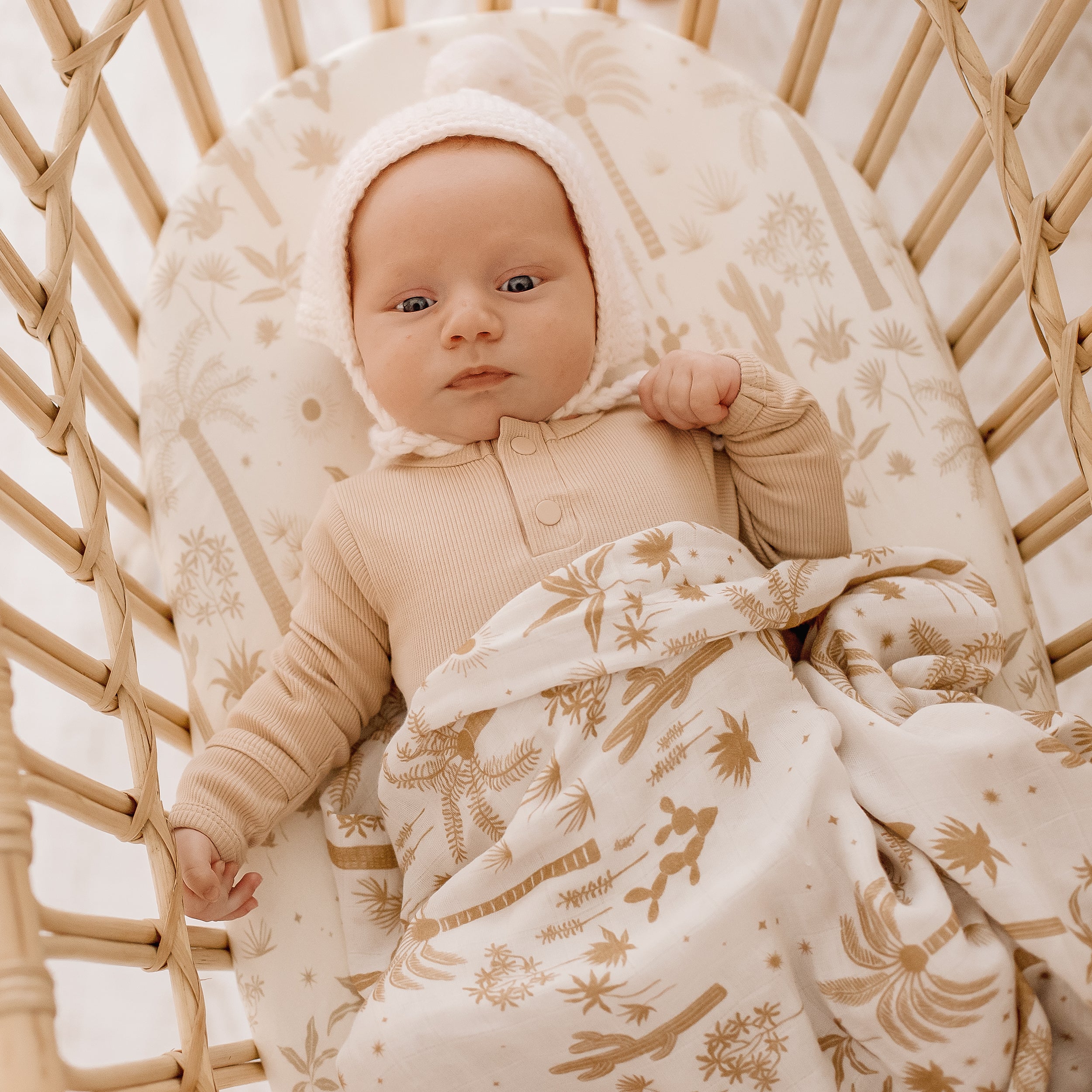 Desert Palms Organic Fitted Bassinet Sheet/Change Pad Cover