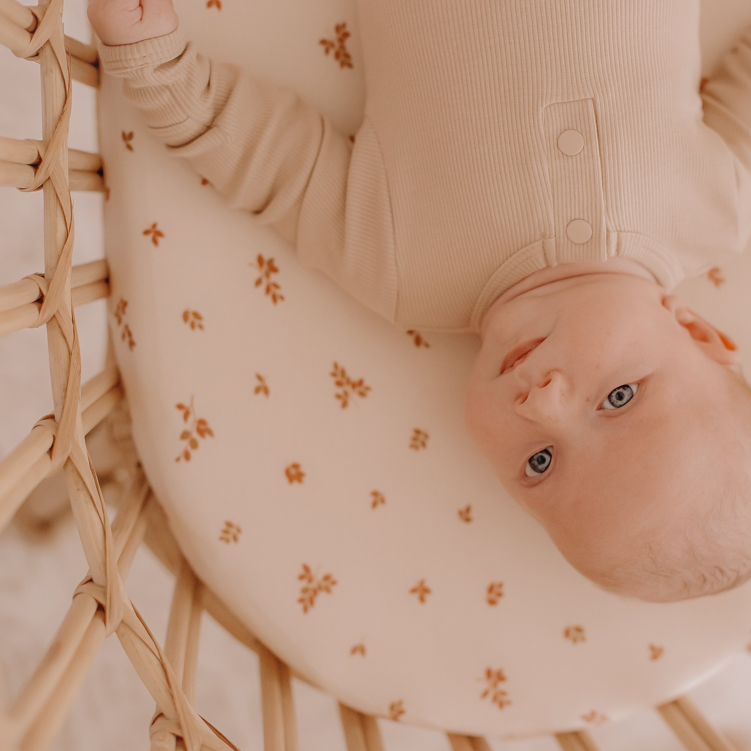 Birch Organic Fitted Bassinet Sheet/Change Pad Cover - SECONDS