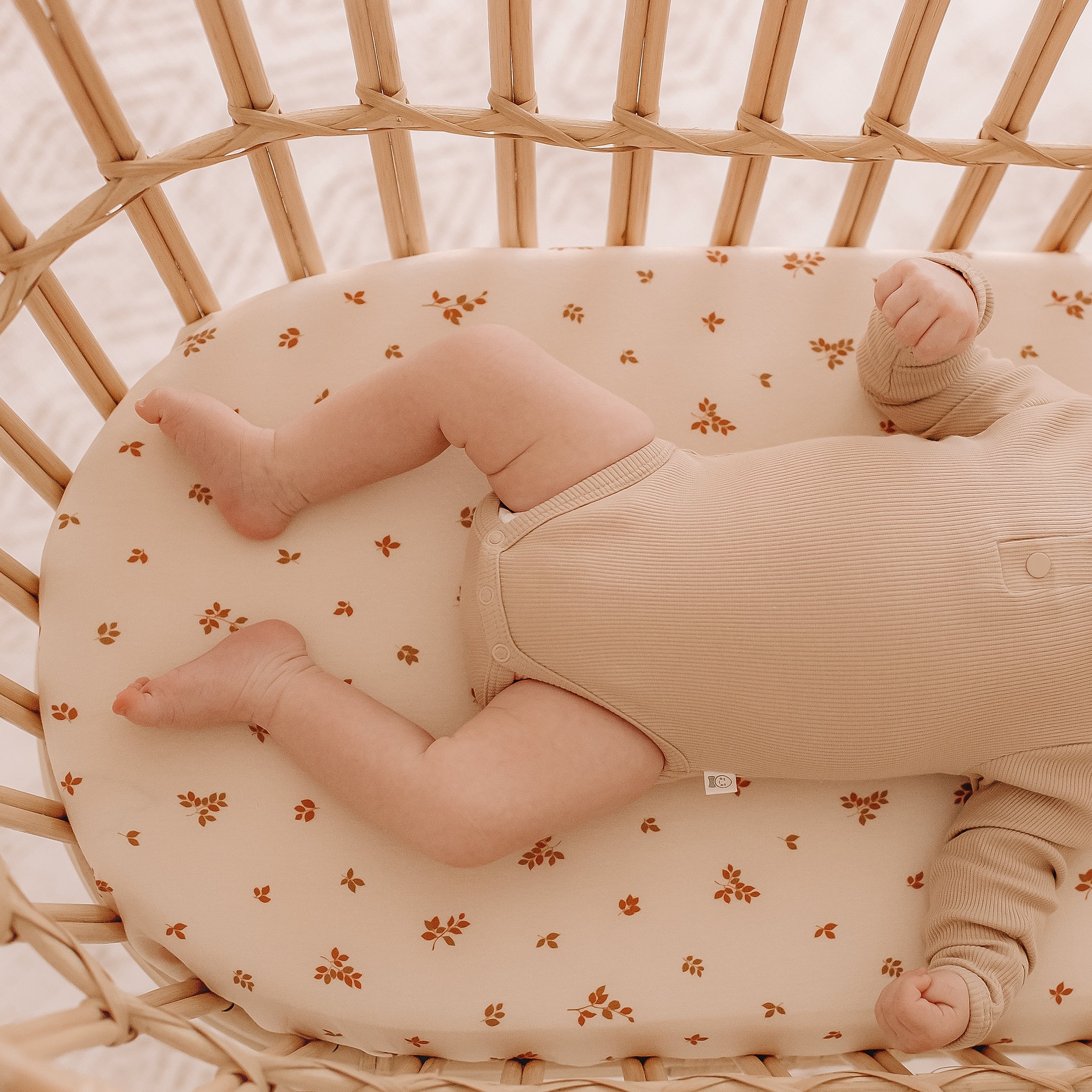 Birch Organic Fitted Bassinet Sheet/Change Pad Cover - SECONDS