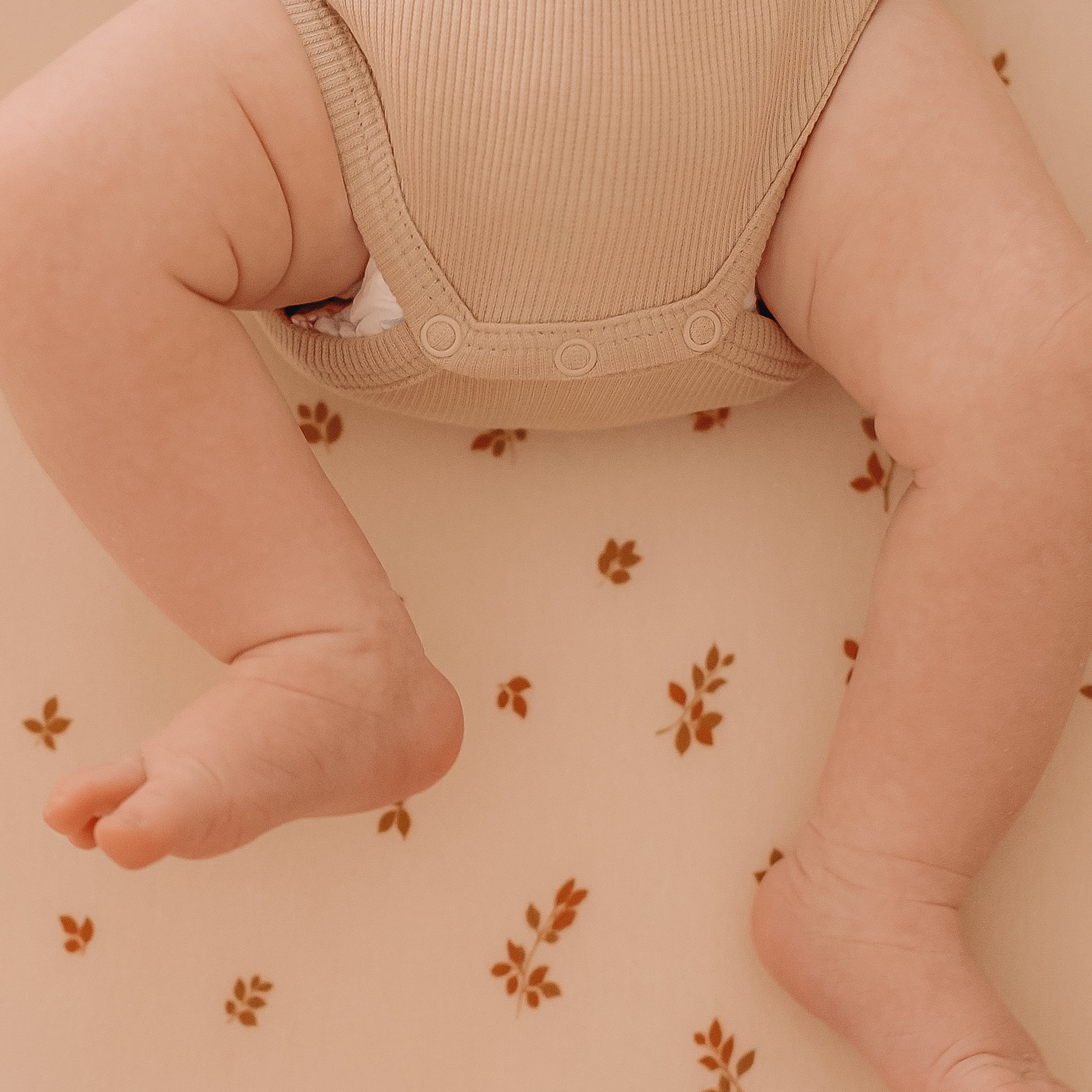 Birch Organic Fitted Bassinet Sheet/Change Pad Cover - PRE-ORDER (MARCH)