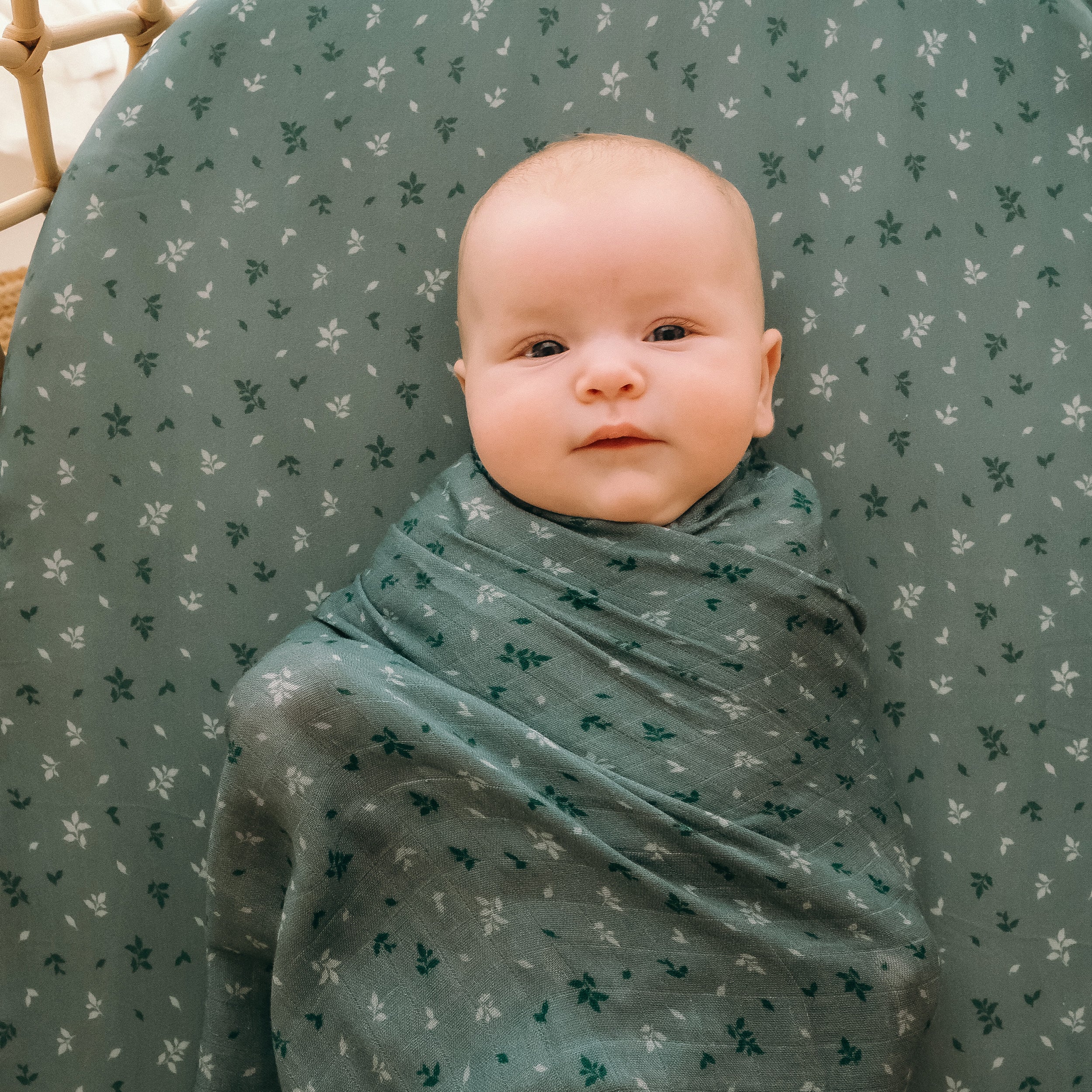 Pine Organic Muslin Wrap Swaddle - LOW STOCK