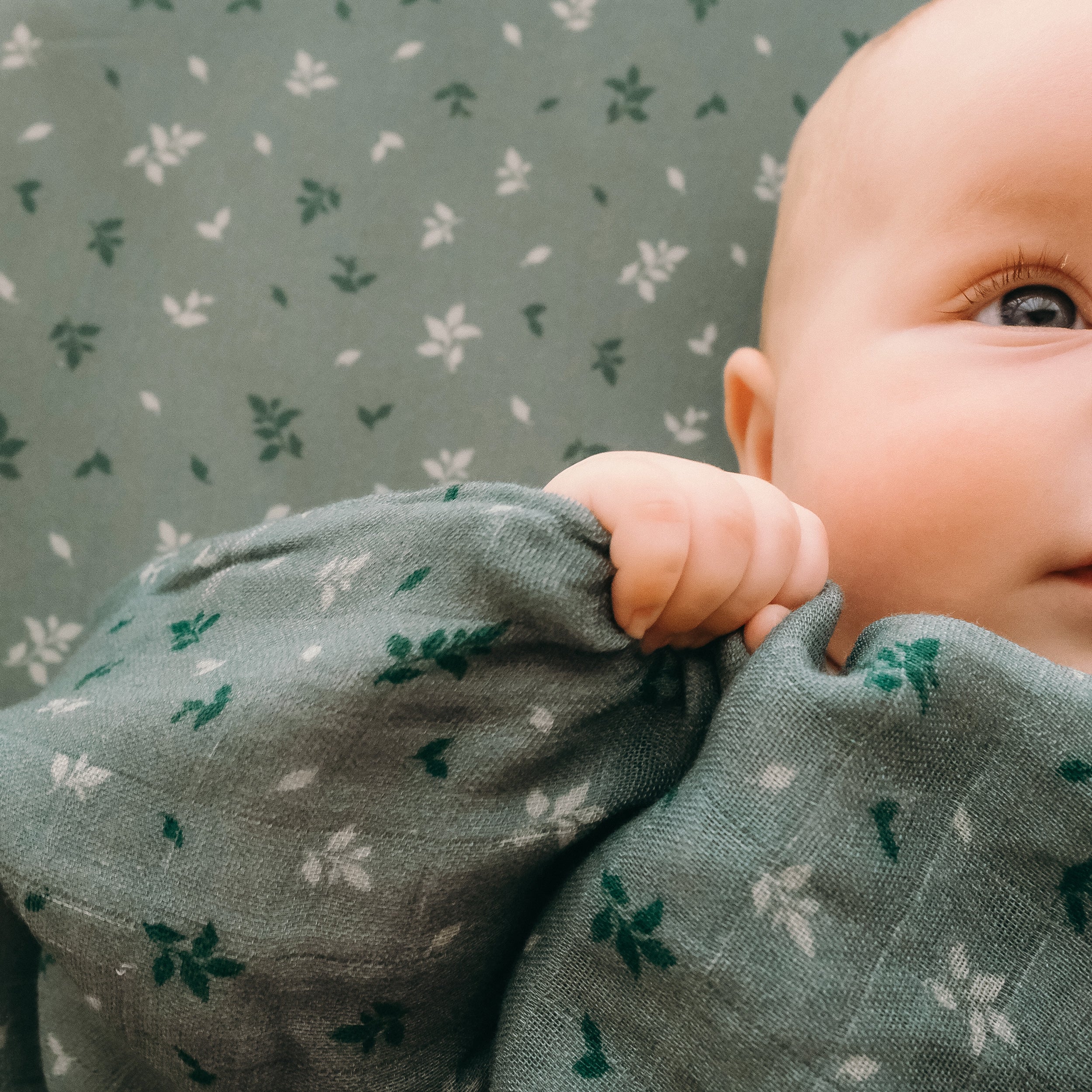Pine Organic Fitted Cot Sheet