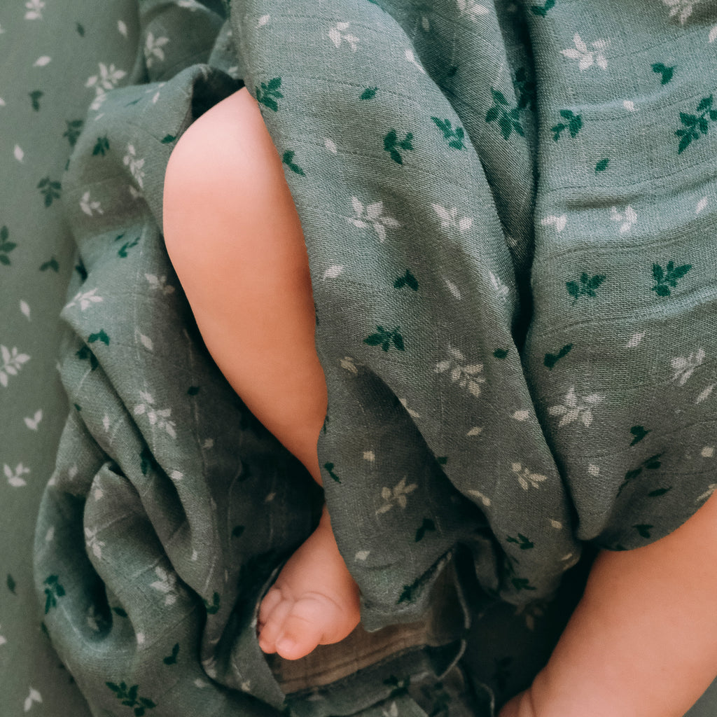 Pine Organic Fitted Bassinet Sheet/Change Pad Cover