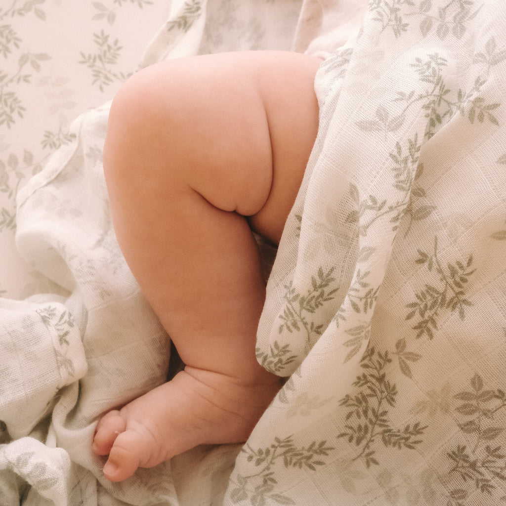 Cypress Organic Fitted Cot Sheet