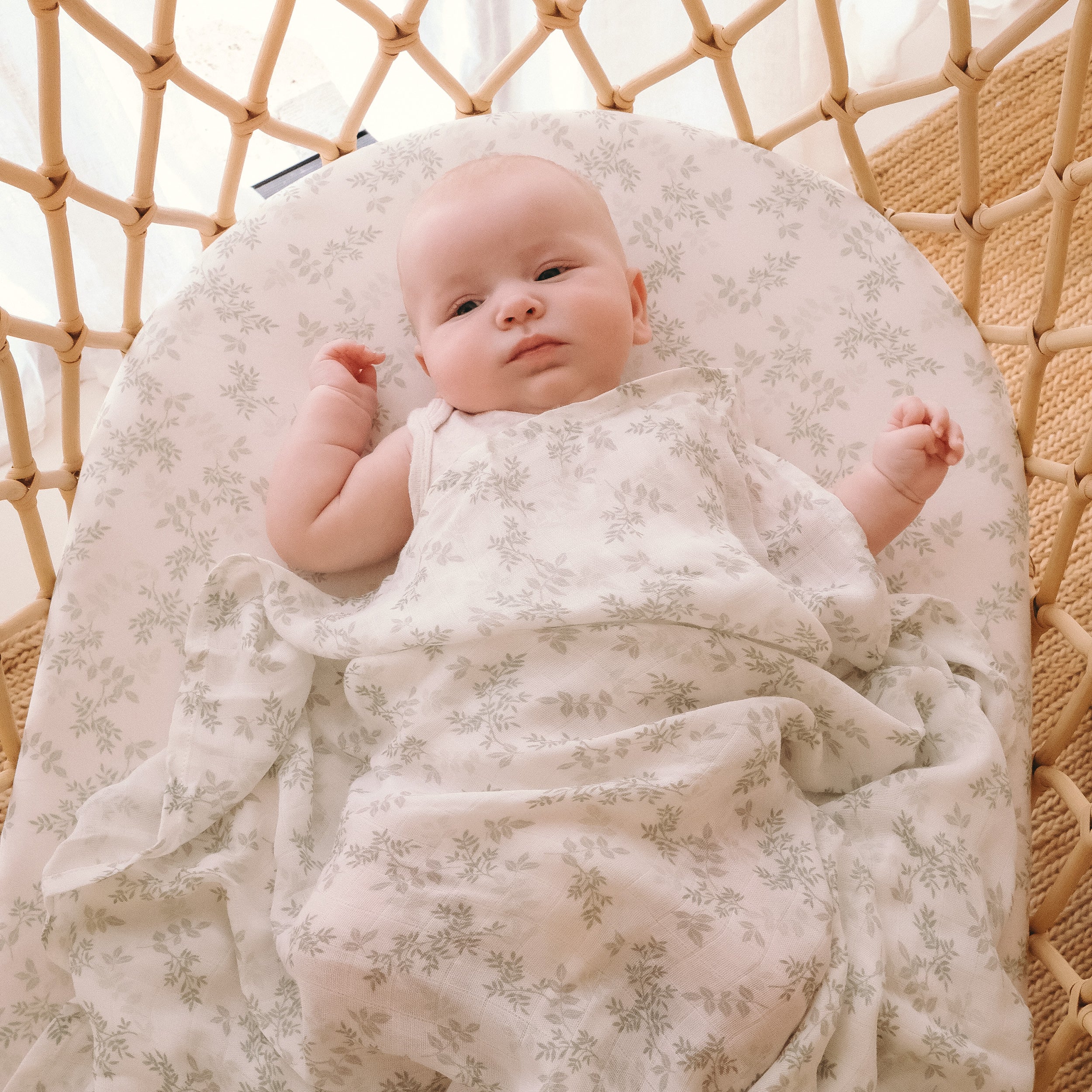 Cypress Organic Fitted Bassinet Sheet/Change Pad Cover