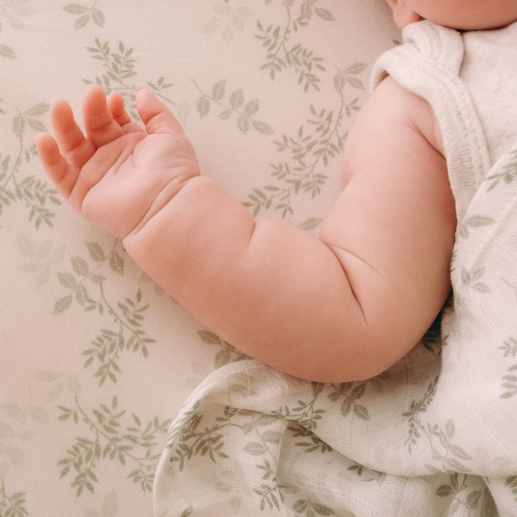 Cypress Organic Fitted Cot Sheet