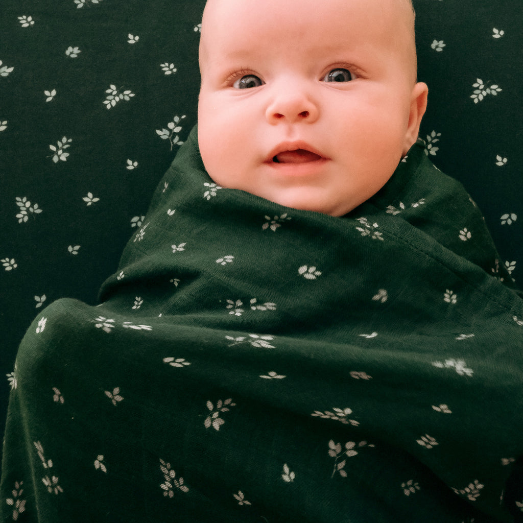 Spruce Organic Fitted Bassinet Sheet/Change Pad Cover