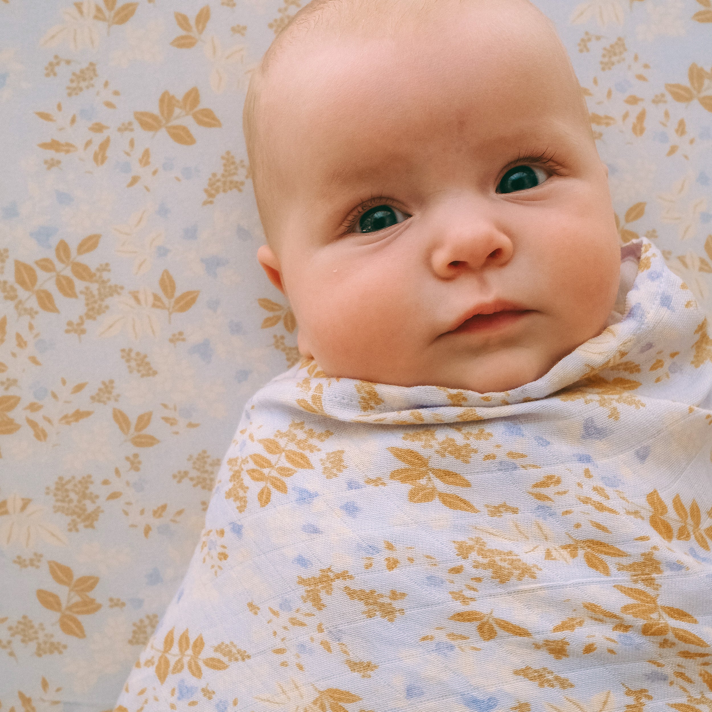 Delphinium Organic Fitted Cot Sheet