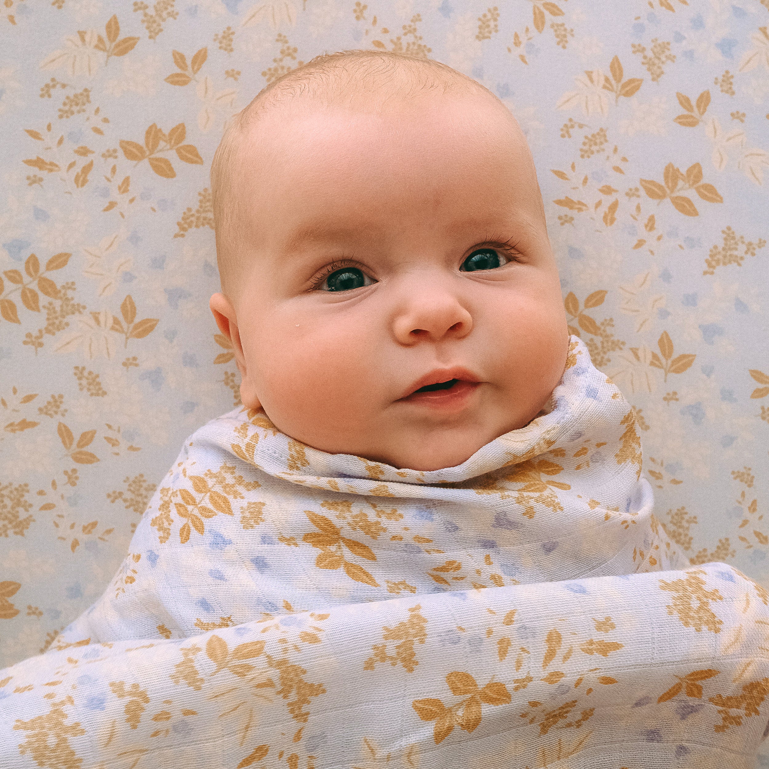 Delphinium Organic Fitted Bassinet Sheet/Change Pad Cover