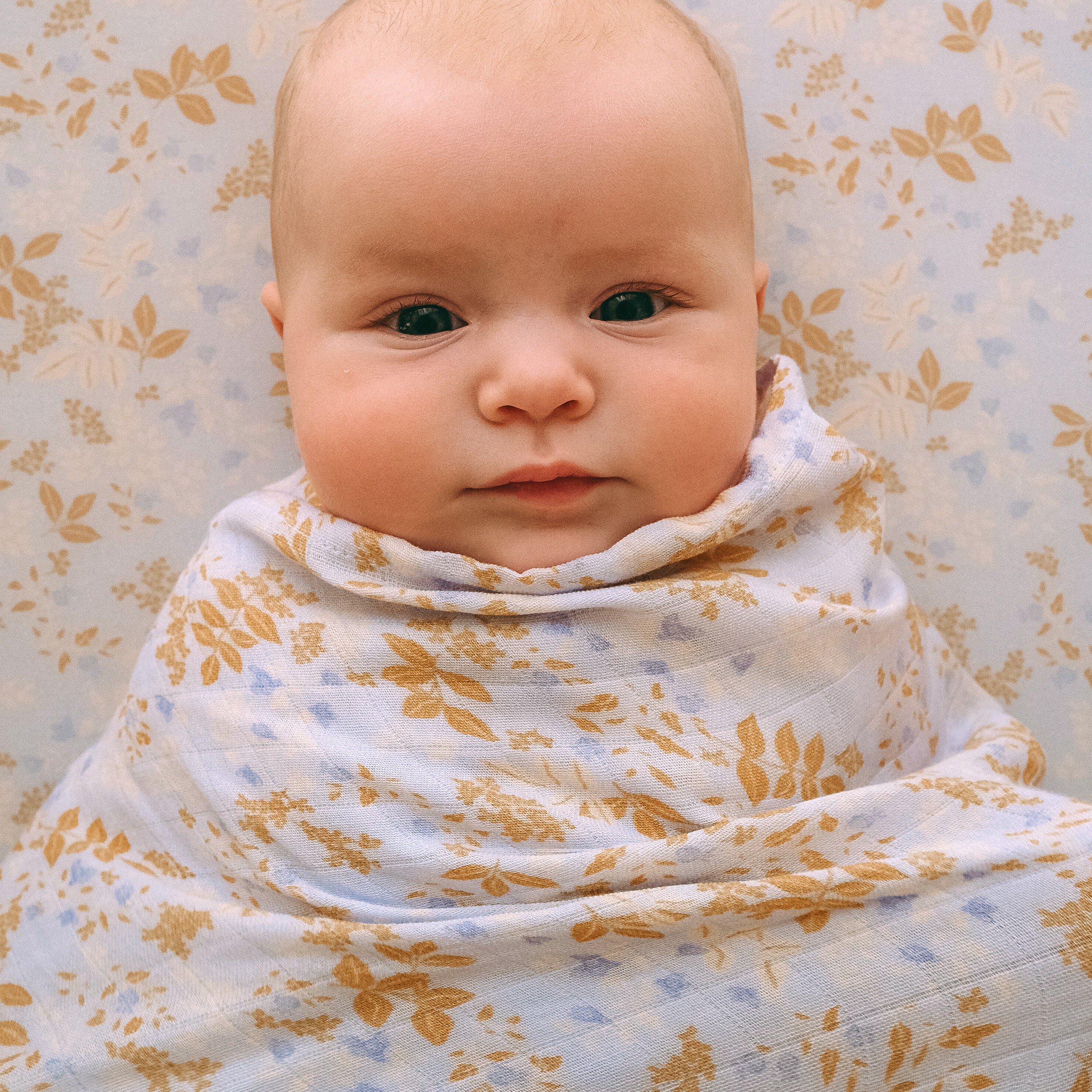 Delphinium Organic Muslin Wrap Swaddle - LAST CHANCE