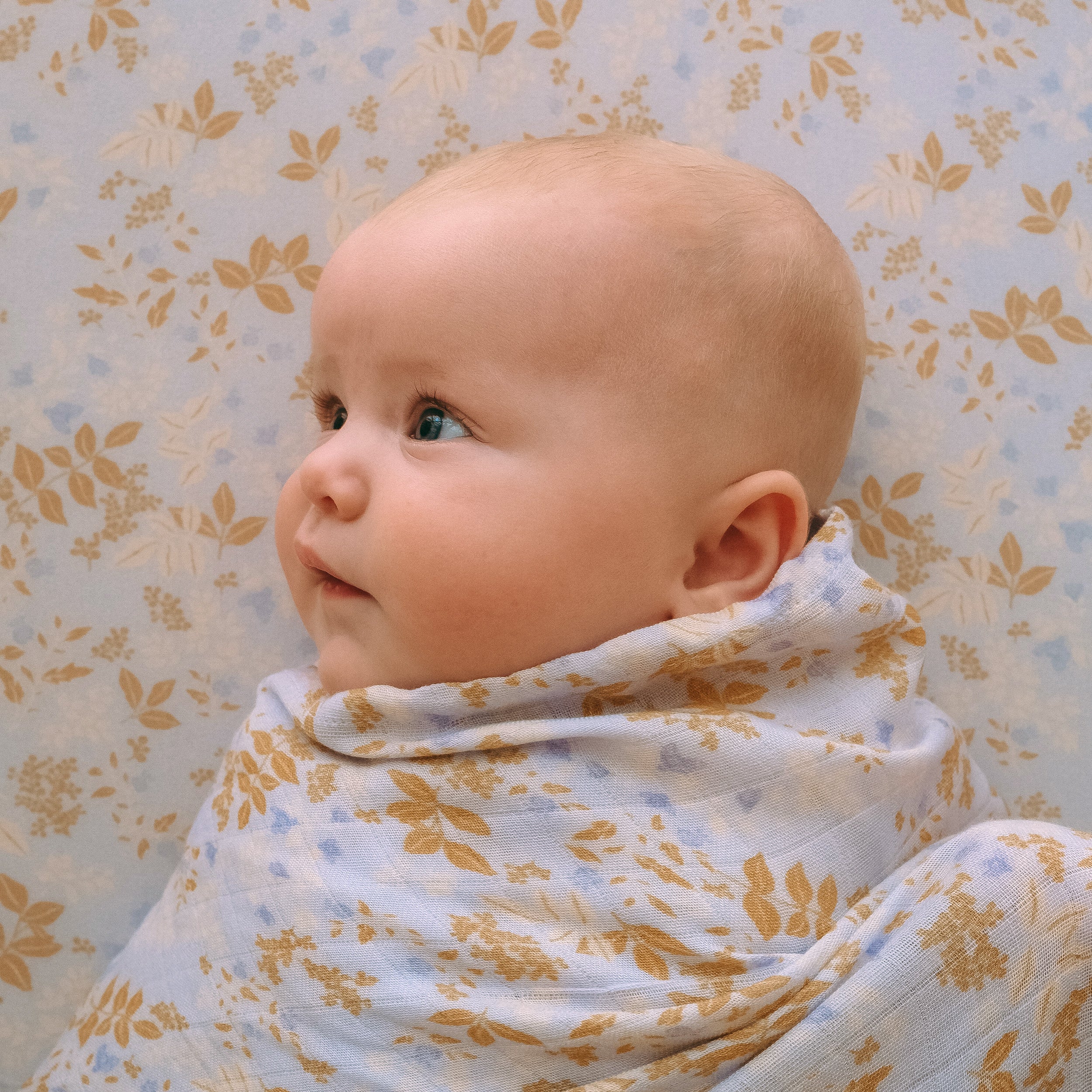 Delphinium Organic Muslin Wrap Swaddle - LAST CHANCE