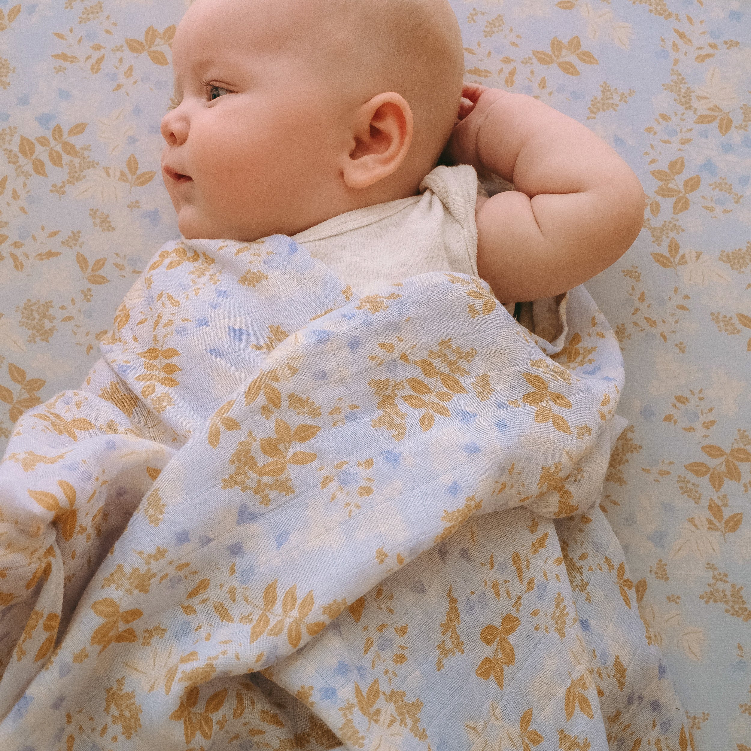 Delphinium Organic Fitted Bassinet Sheet/Change Pad Cover