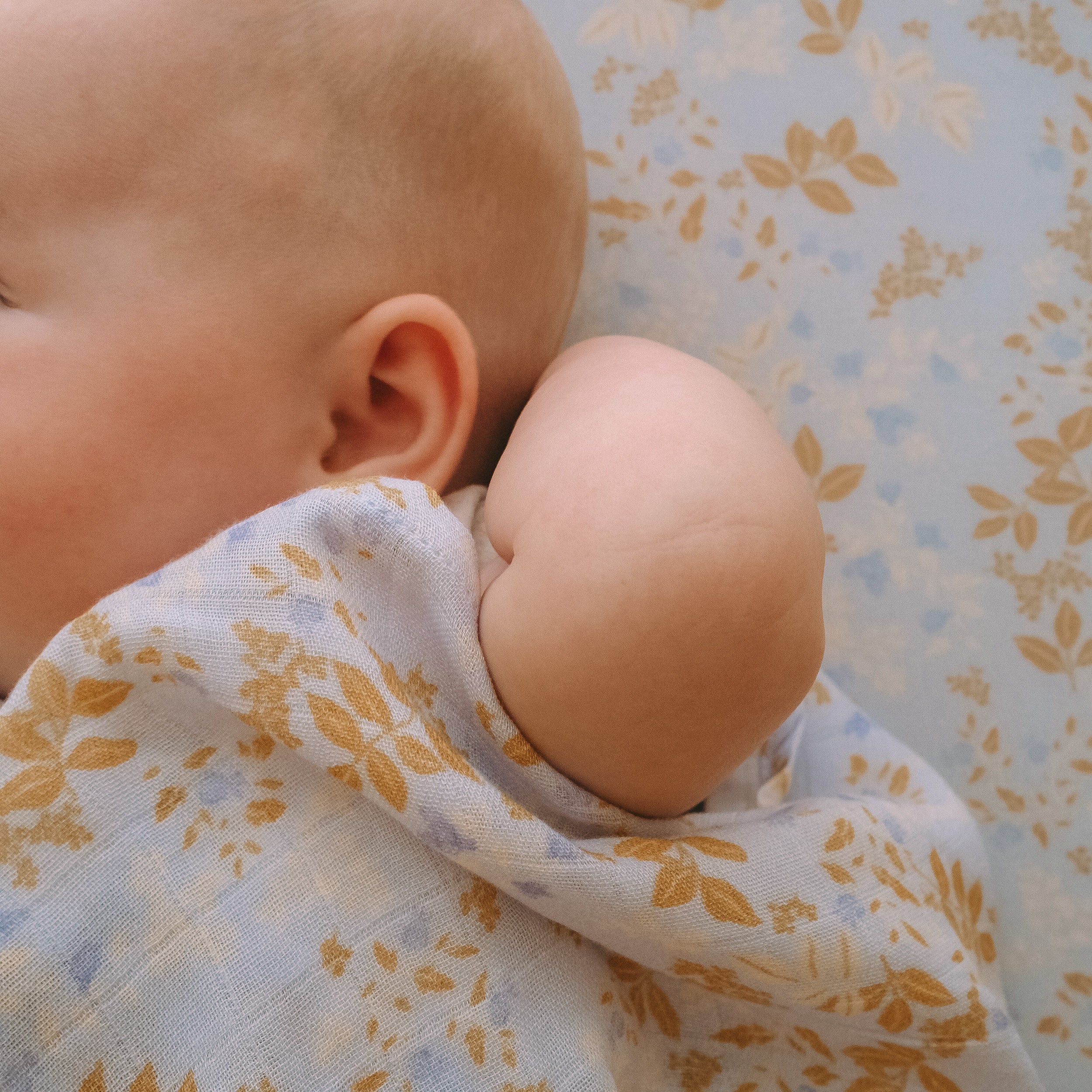 Delphinium Organic Fitted Bassinet Sheet/Change Pad Cover