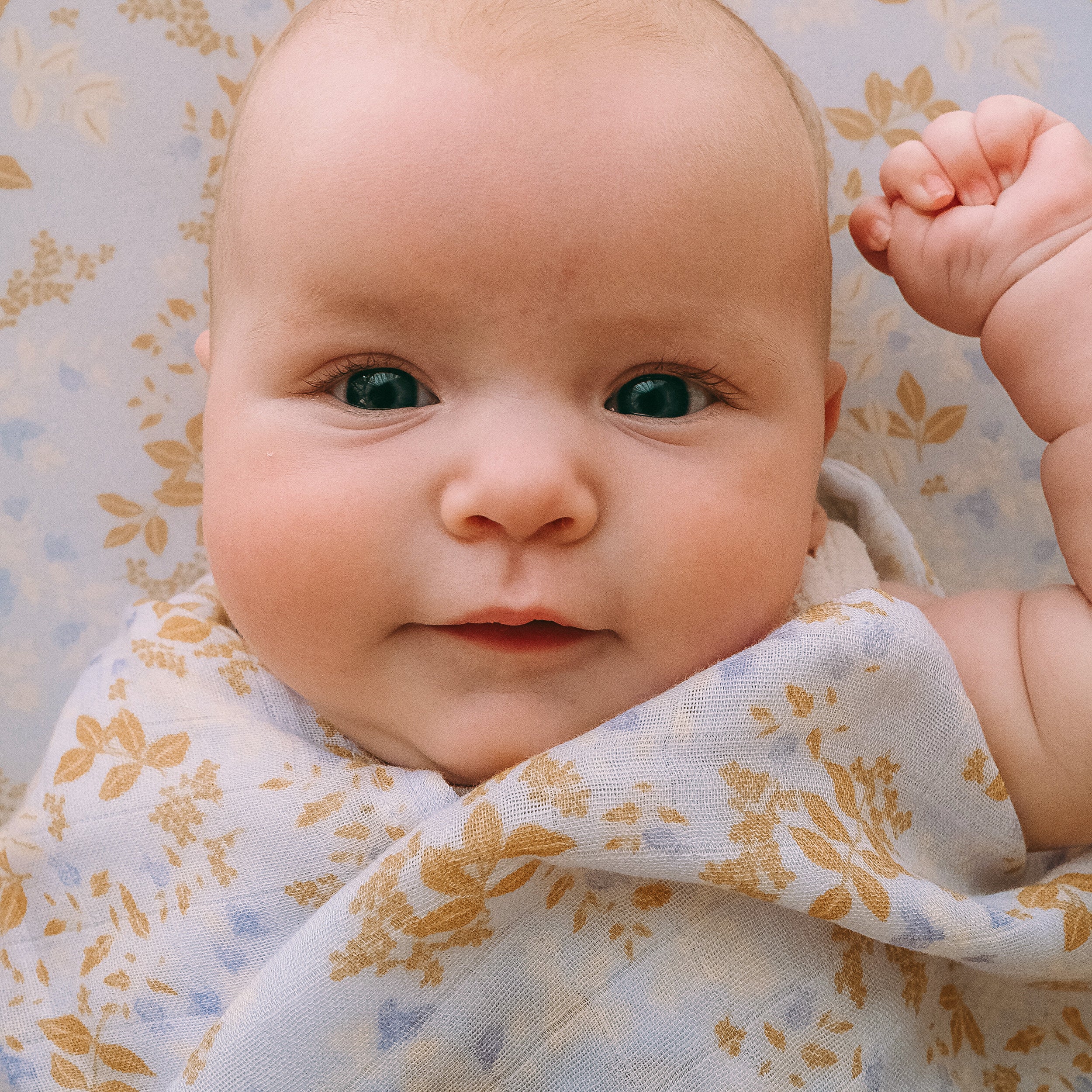 Delphinium Organic Fitted Cot Sheet