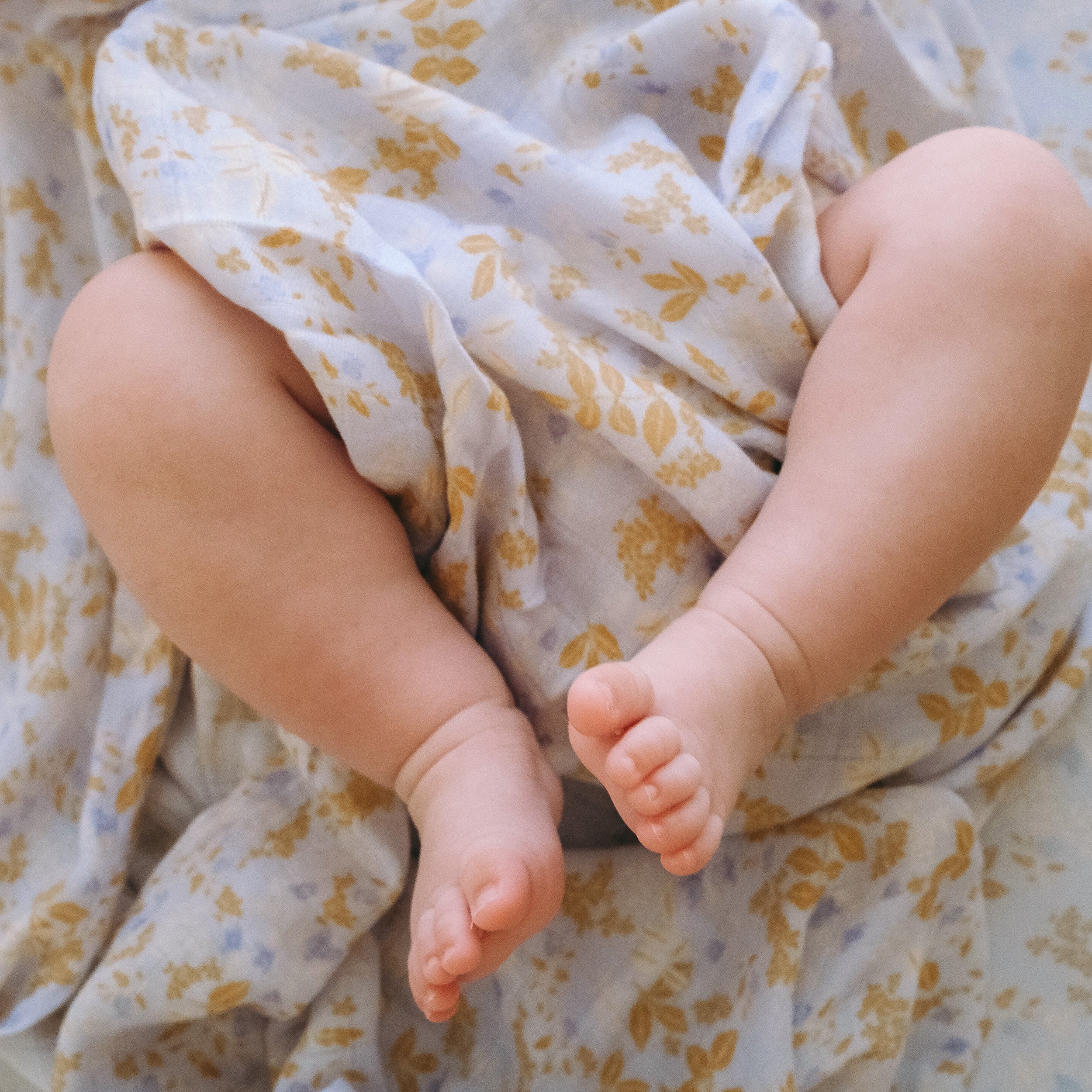 Delphinium Organic Fitted Bassinet Sheet/Change Pad Cover