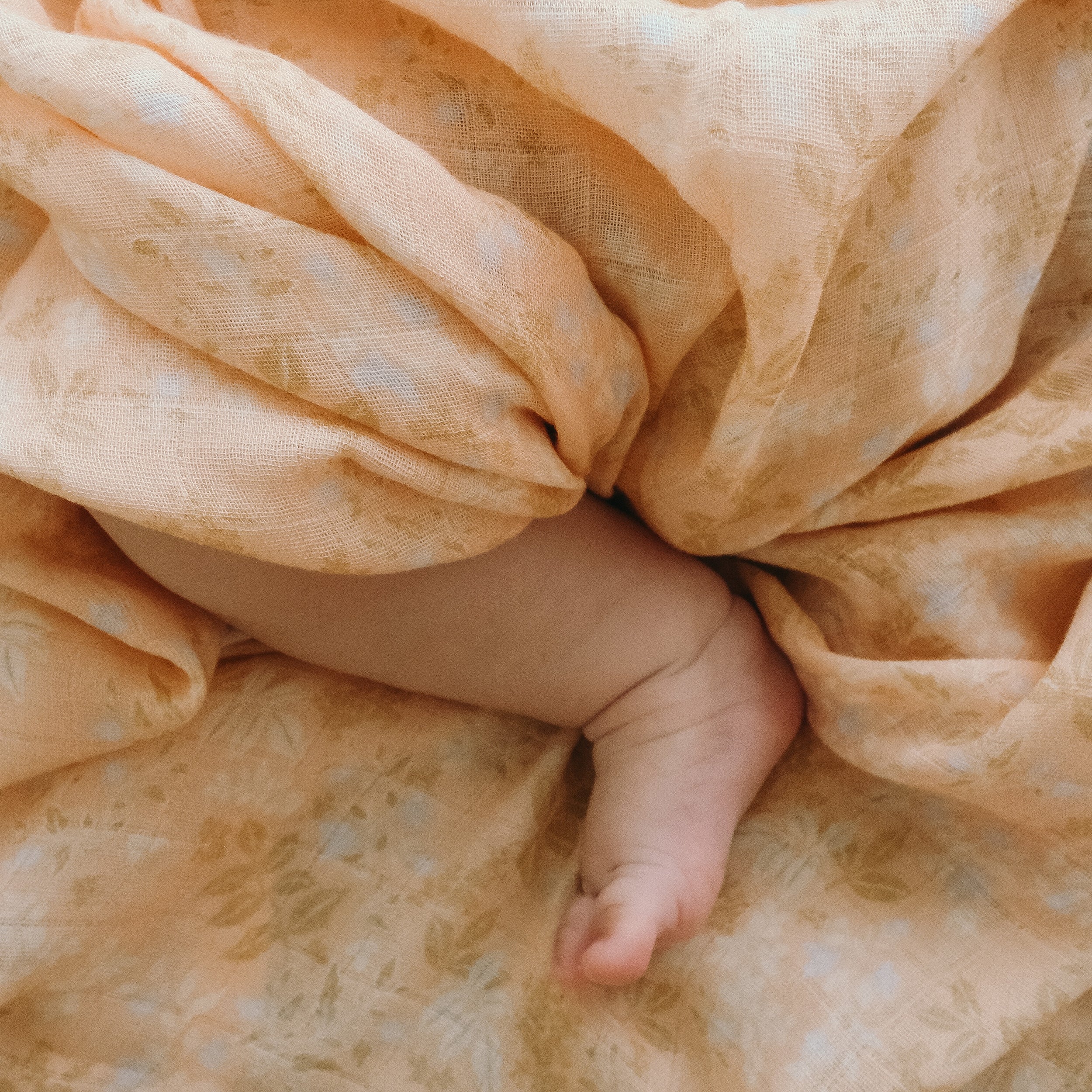 Wild Peony Organic Fitted Bassinet Sheet/Change Pad Cover