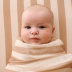 Coffee Stripe Organic Fitted Cot Sheet