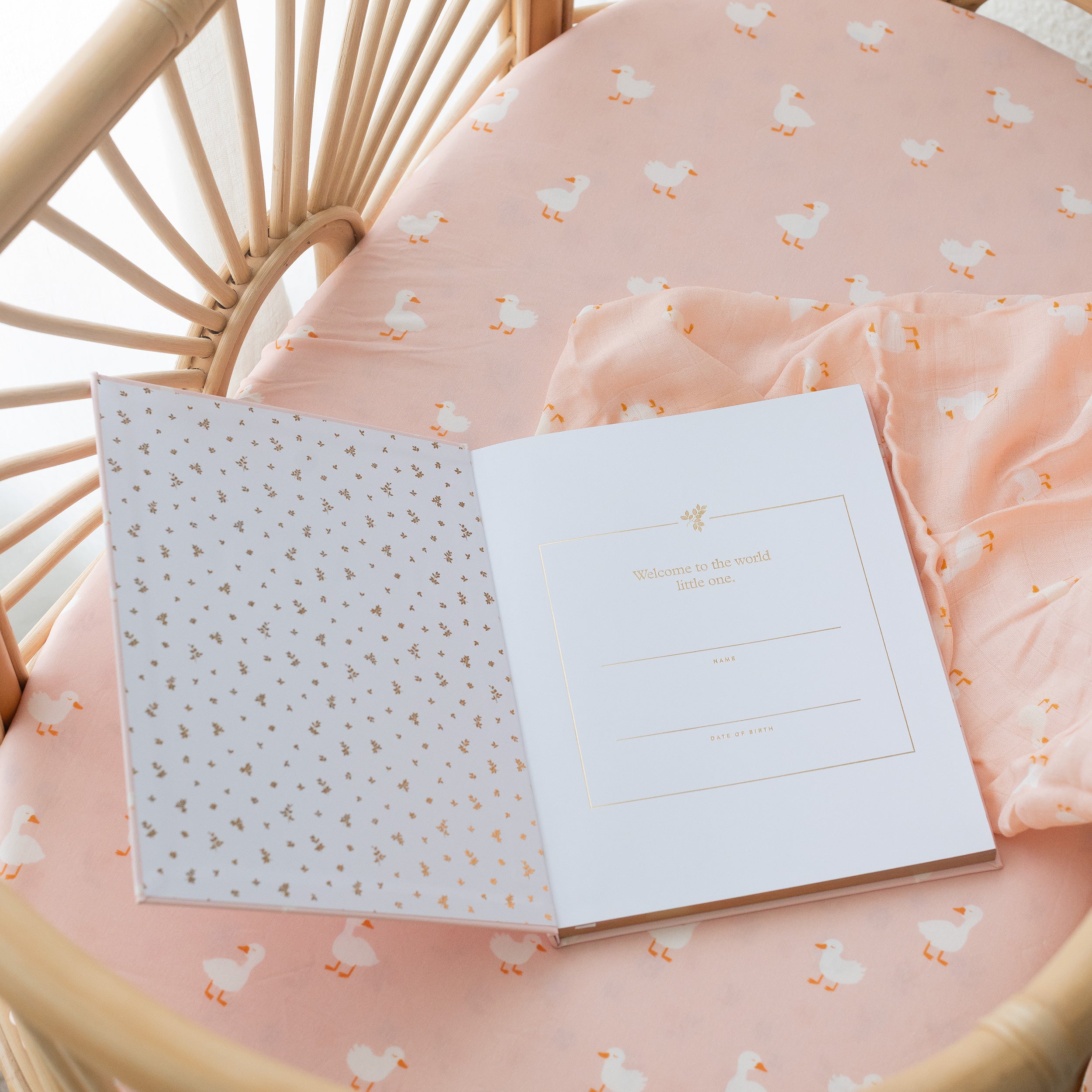 Baby Book Pink Ducks - 3rd Edition