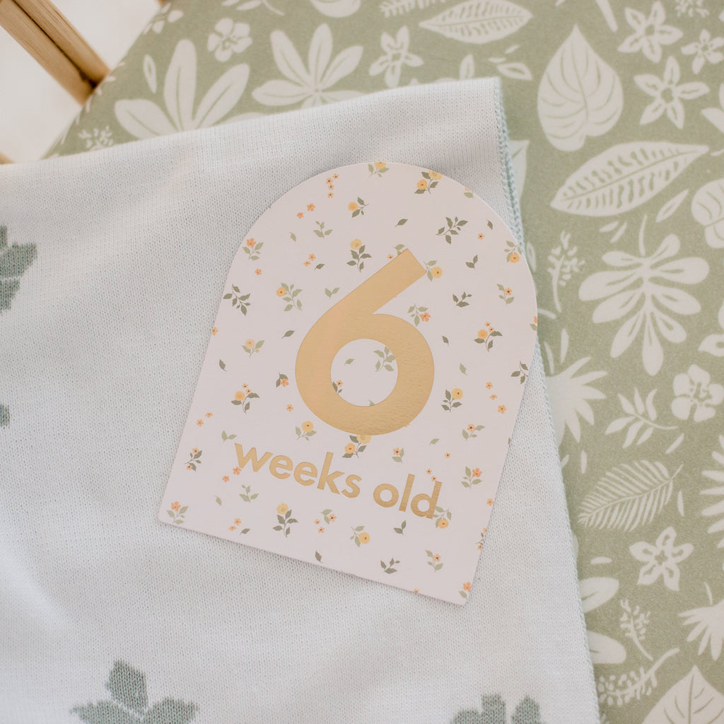 Zanzibar Organic Fitted Bassinet Sheet/Change Pad Cover - SECONDS