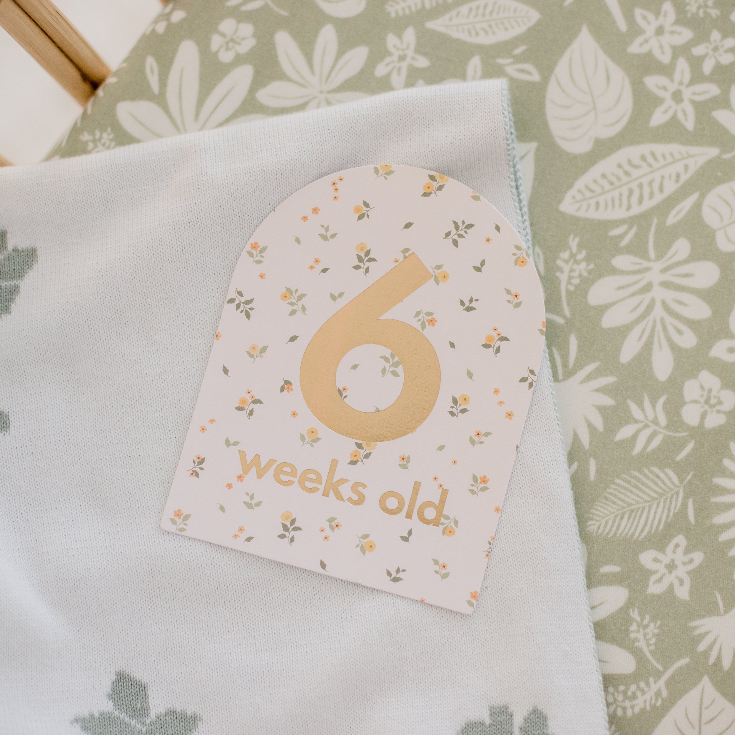 Zanzibar Organic Fitted Bassinet Sheet/Change Pad Cover - SECONDS