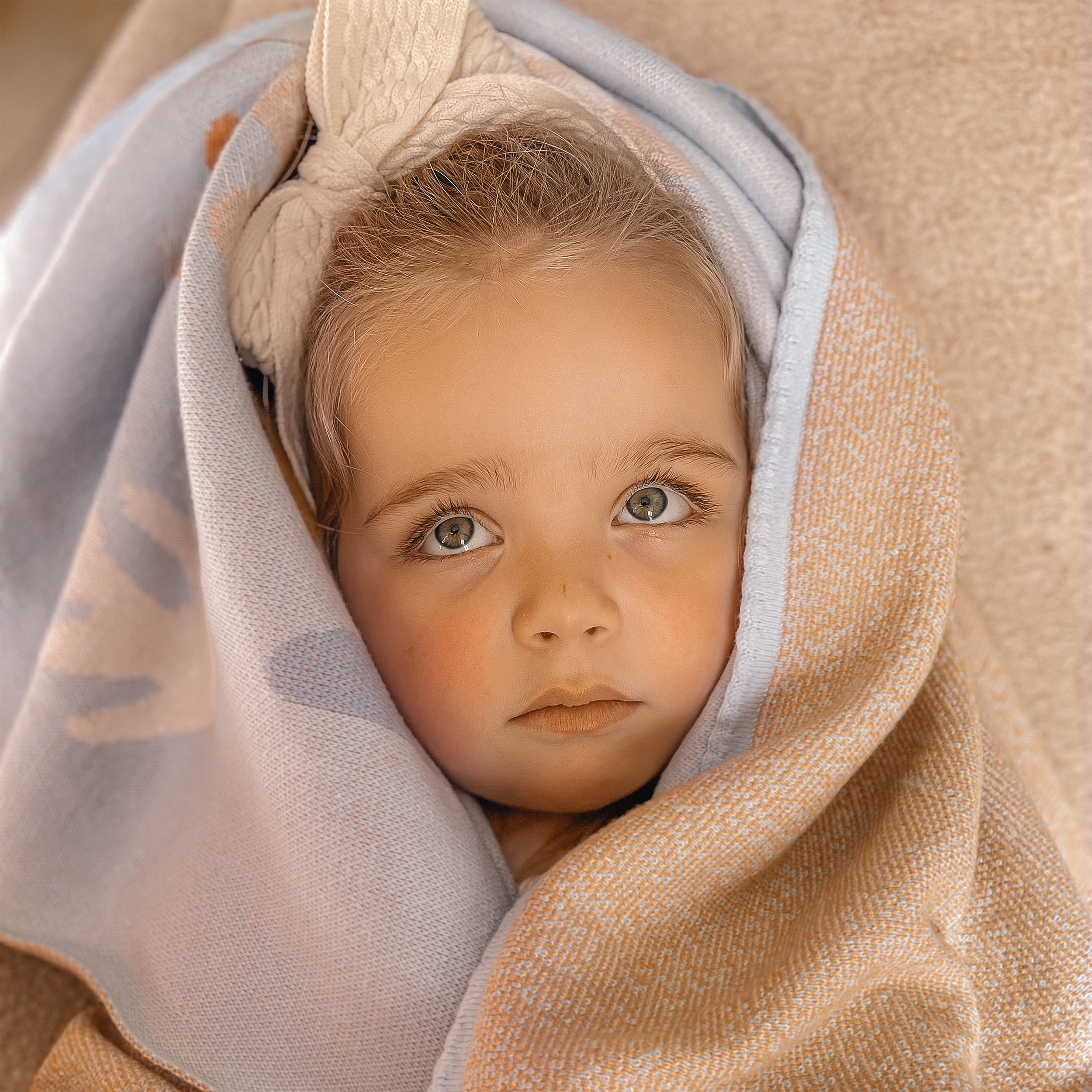 Ocean Creatures Blanket