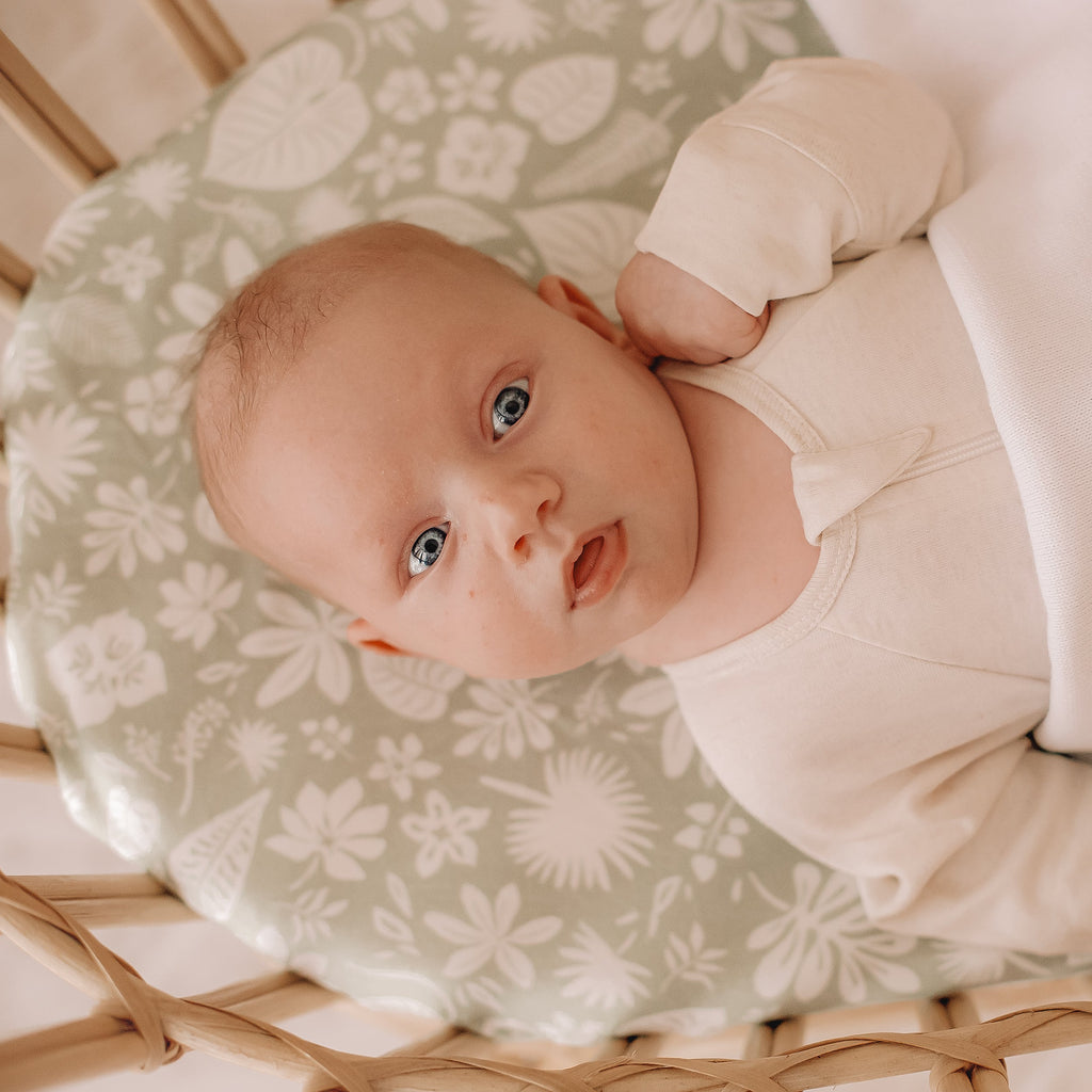Zanzibar Organic Fitted Bassinet Sheet/Change Pad Cover - SECONDS