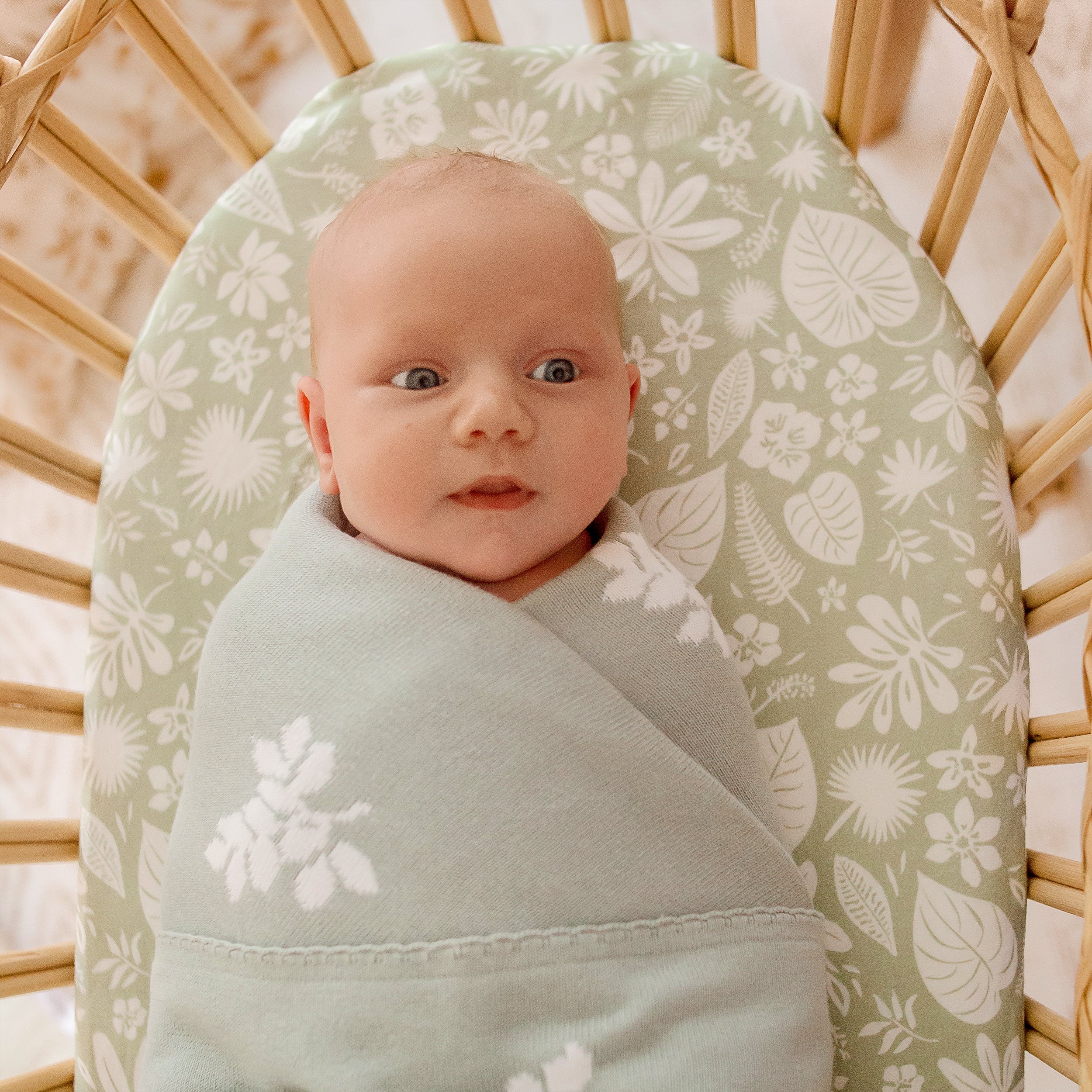 Zanzibar Organic Fitted Bassinet Sheet/Change Pad Cover - SECONDS