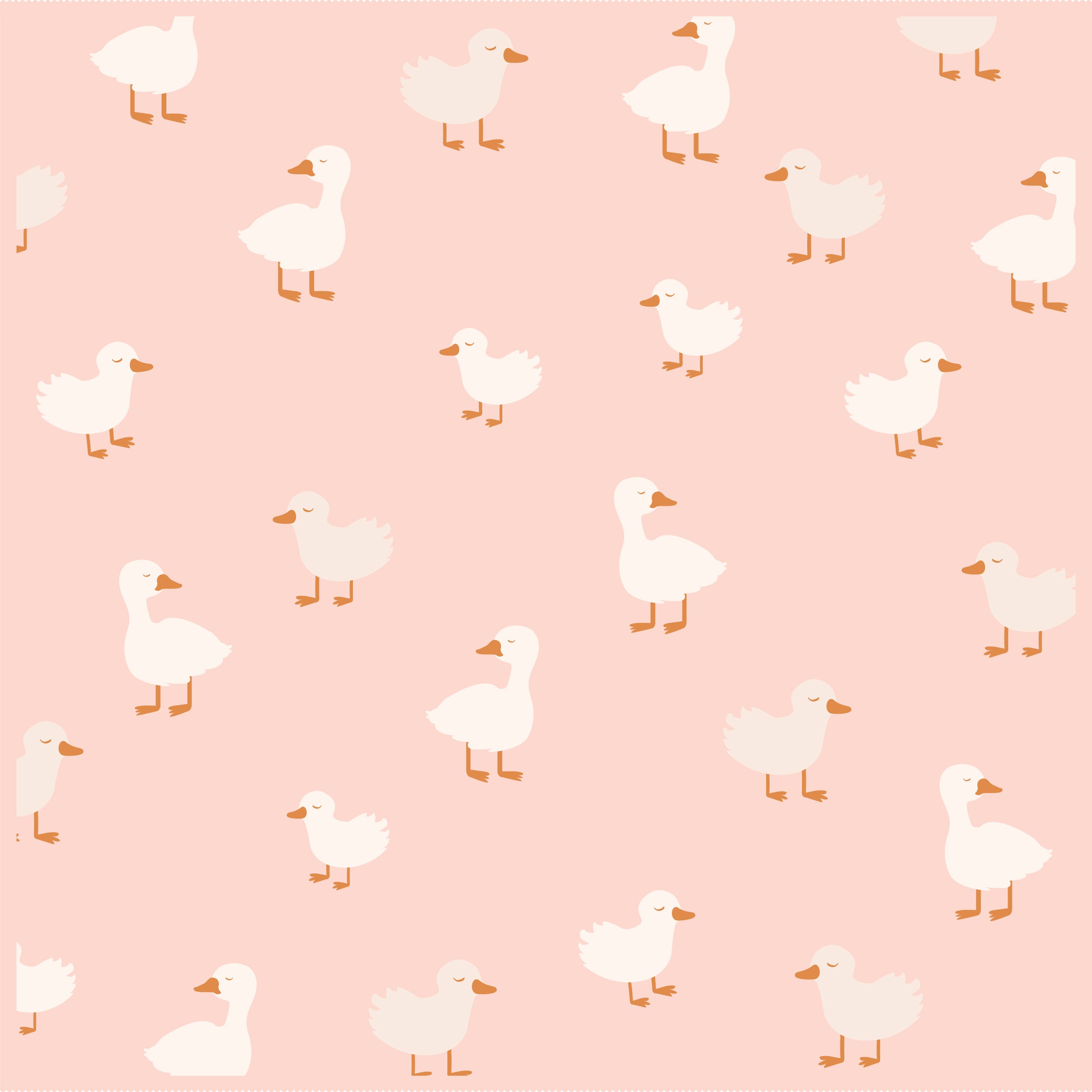 Pink Ducks Blanket