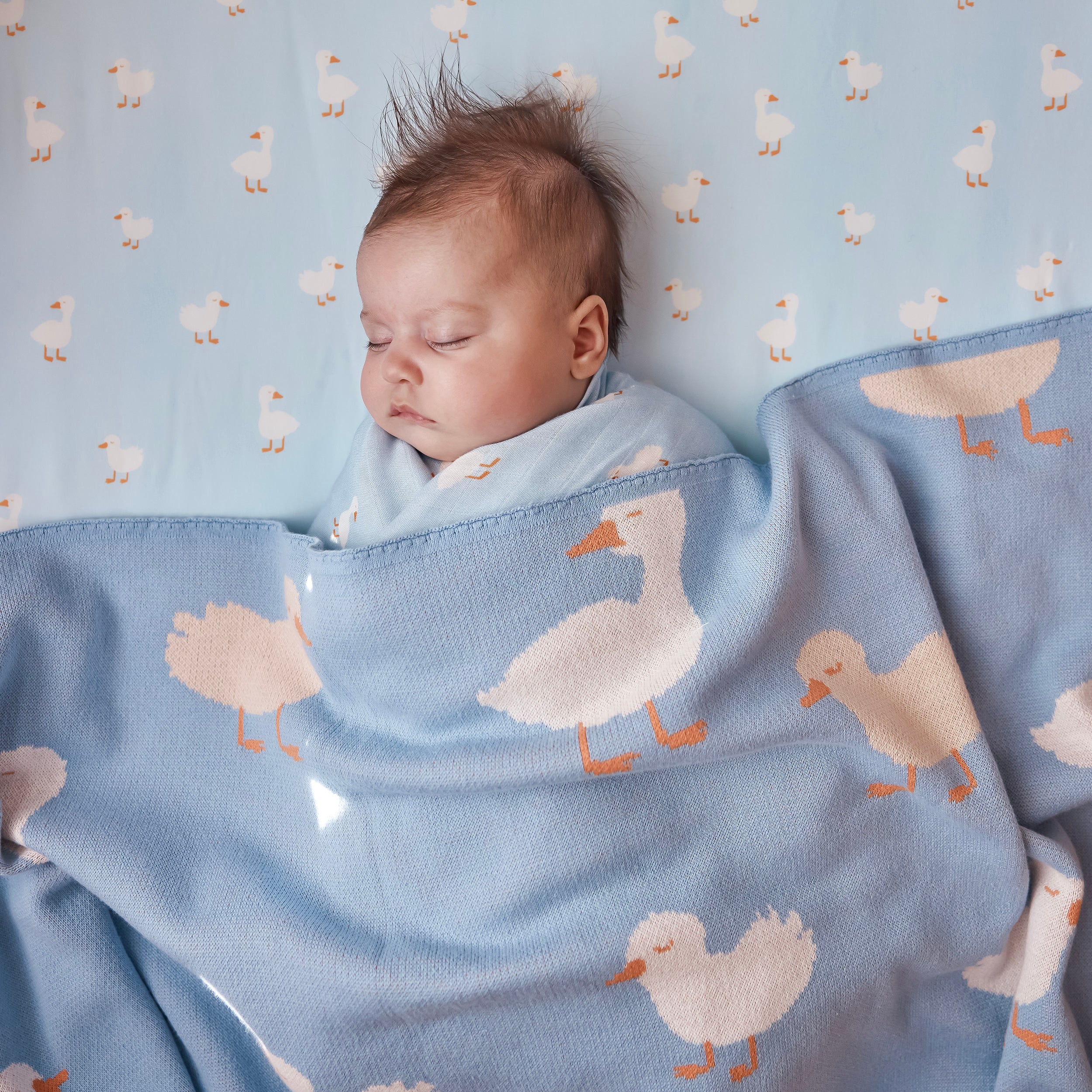 Blue Ducks Organic Fitted Cot Sheet