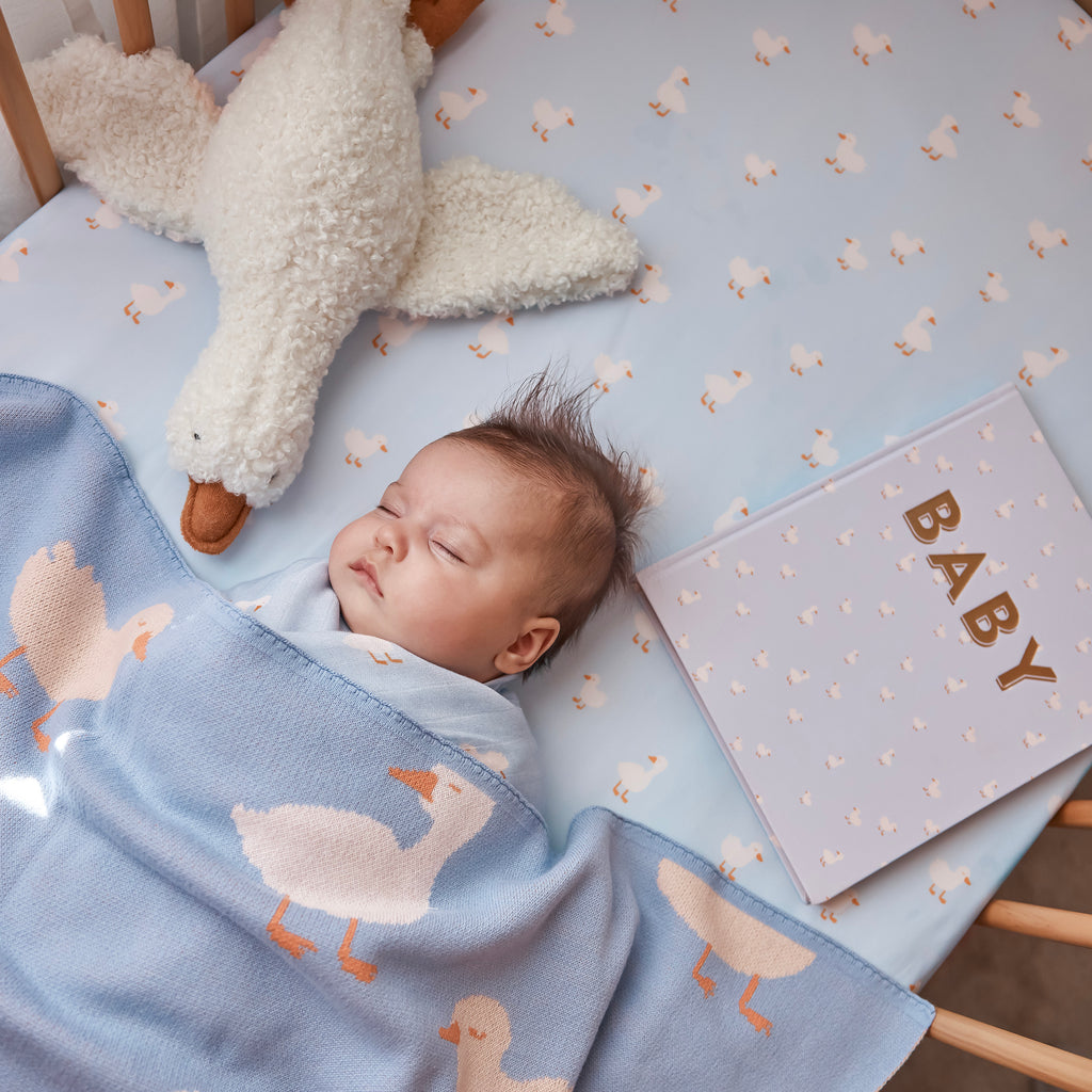Baby Book Blue Ducks Boxed - 3rd Edition - PRE-ORDER (NOVEMBER)