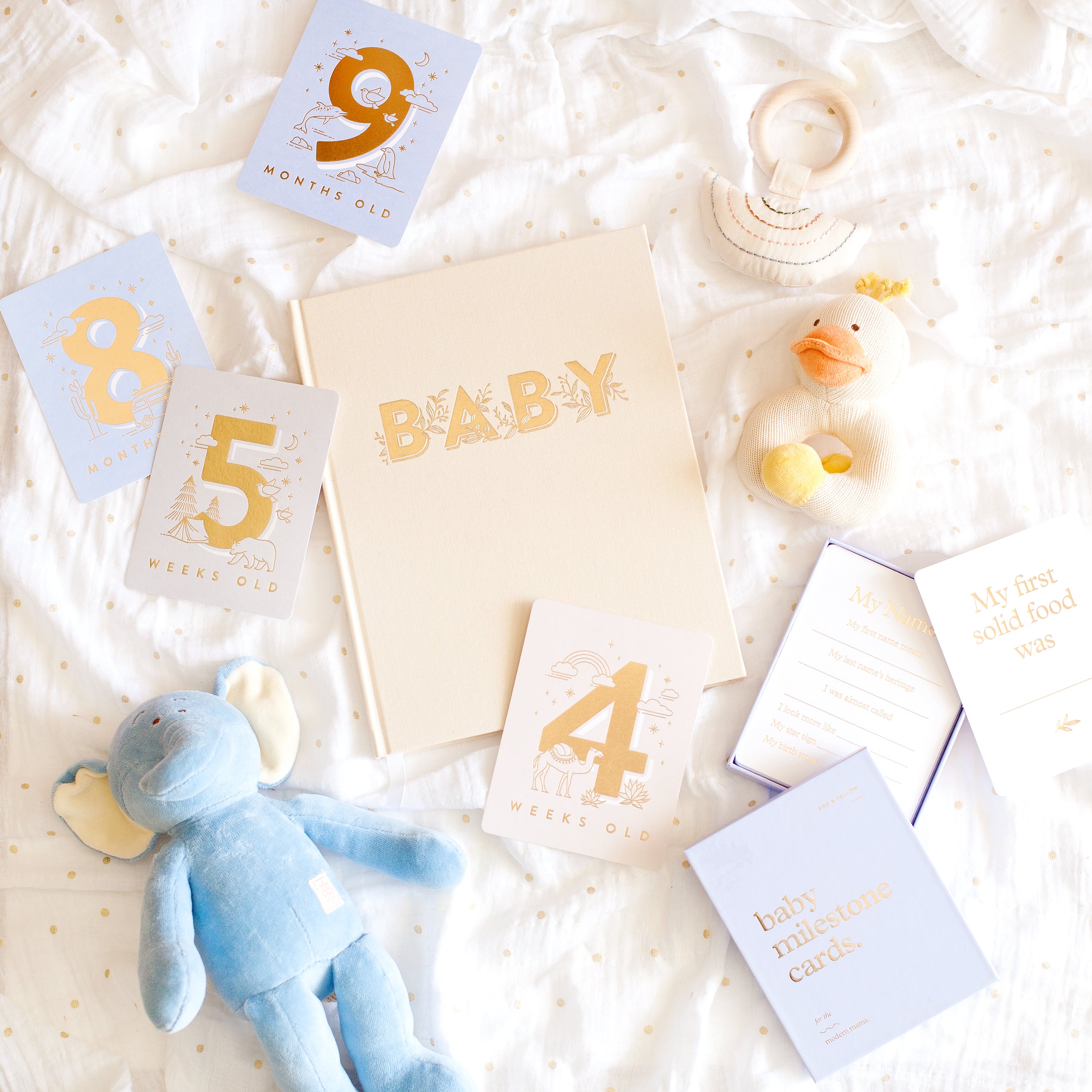 Baby Milestone Cards Powder Blue
