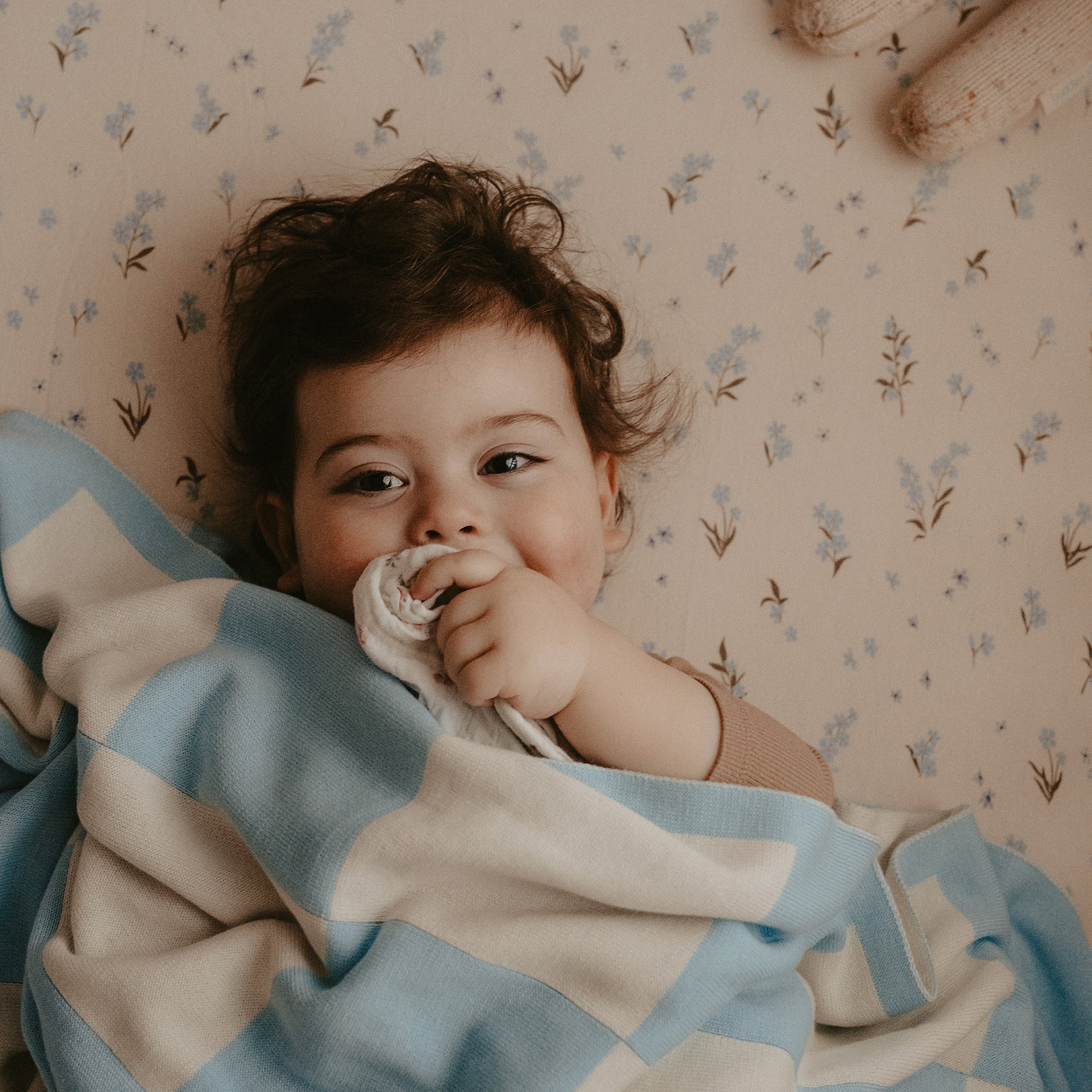 Forget-Me-Not Organic Fitted Bassinet Sheet/Change Pad Cover