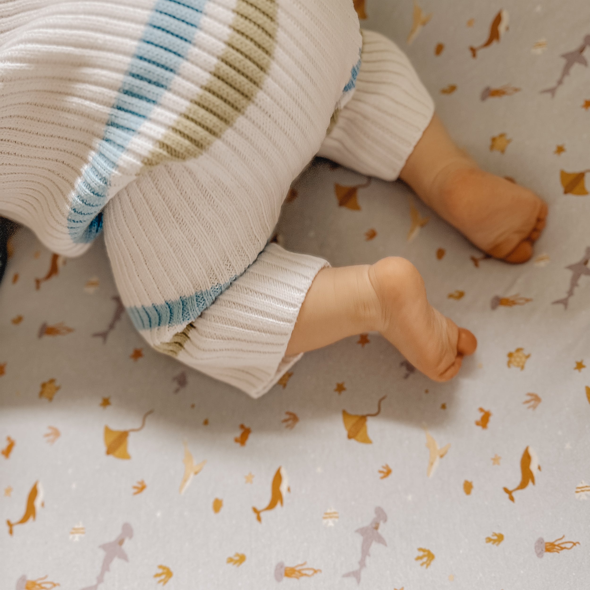 Ocean Creatures Sky Organic Fitted Bassinet Sheet/Change Pad Cover - SECONDS