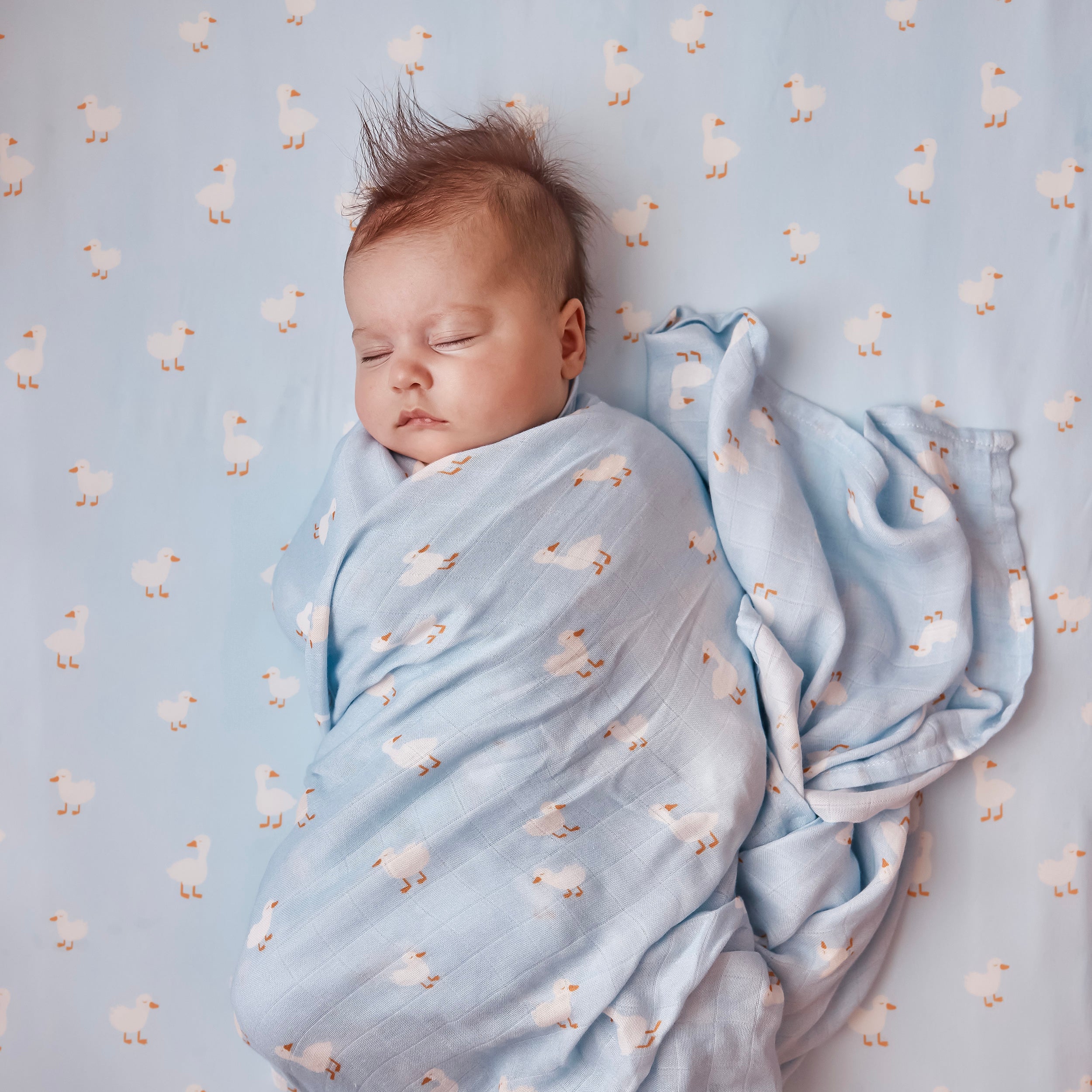 Blue Ducks Organic Fitted Bassinet Sheet/Change Pad Cover