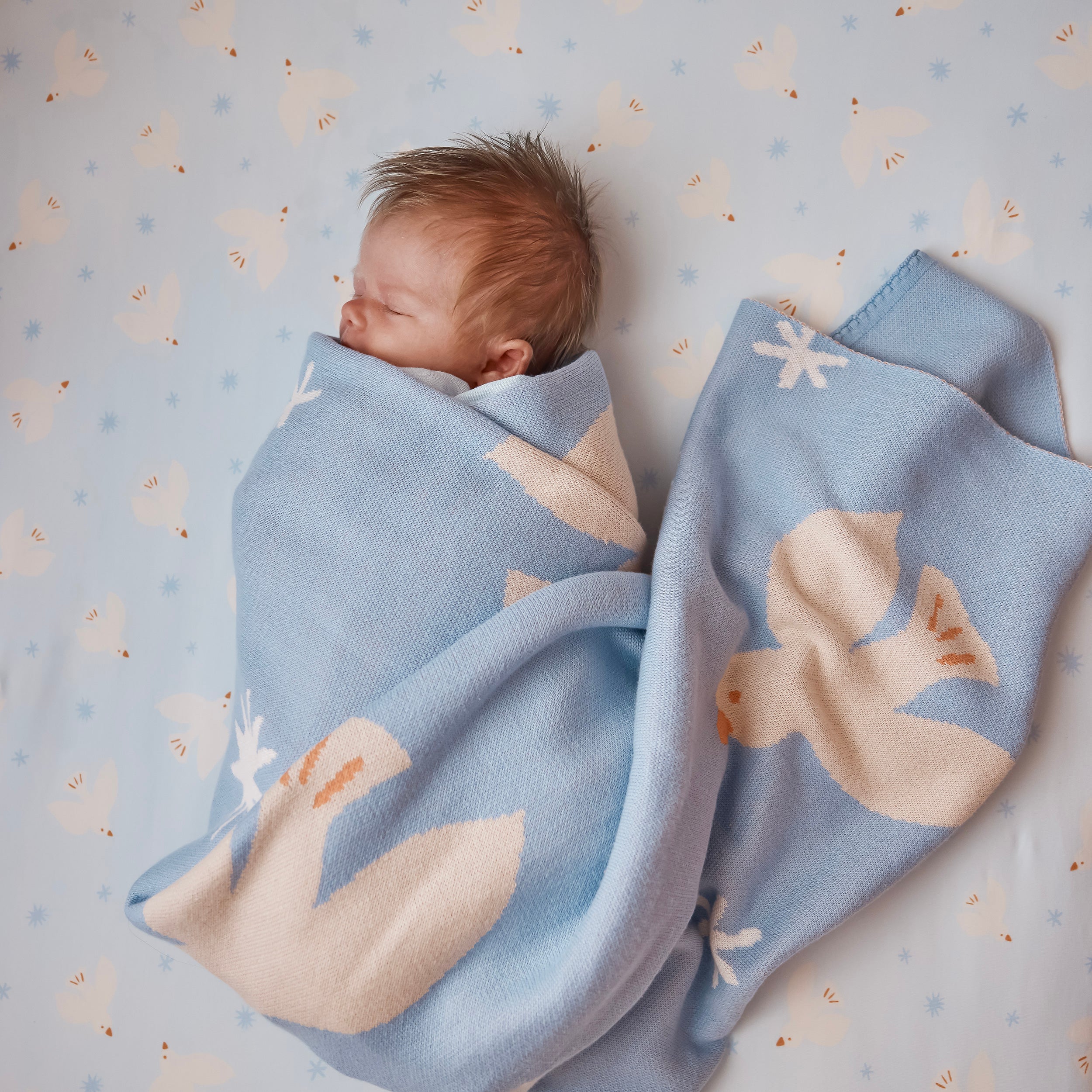 Blue Doves Blanket