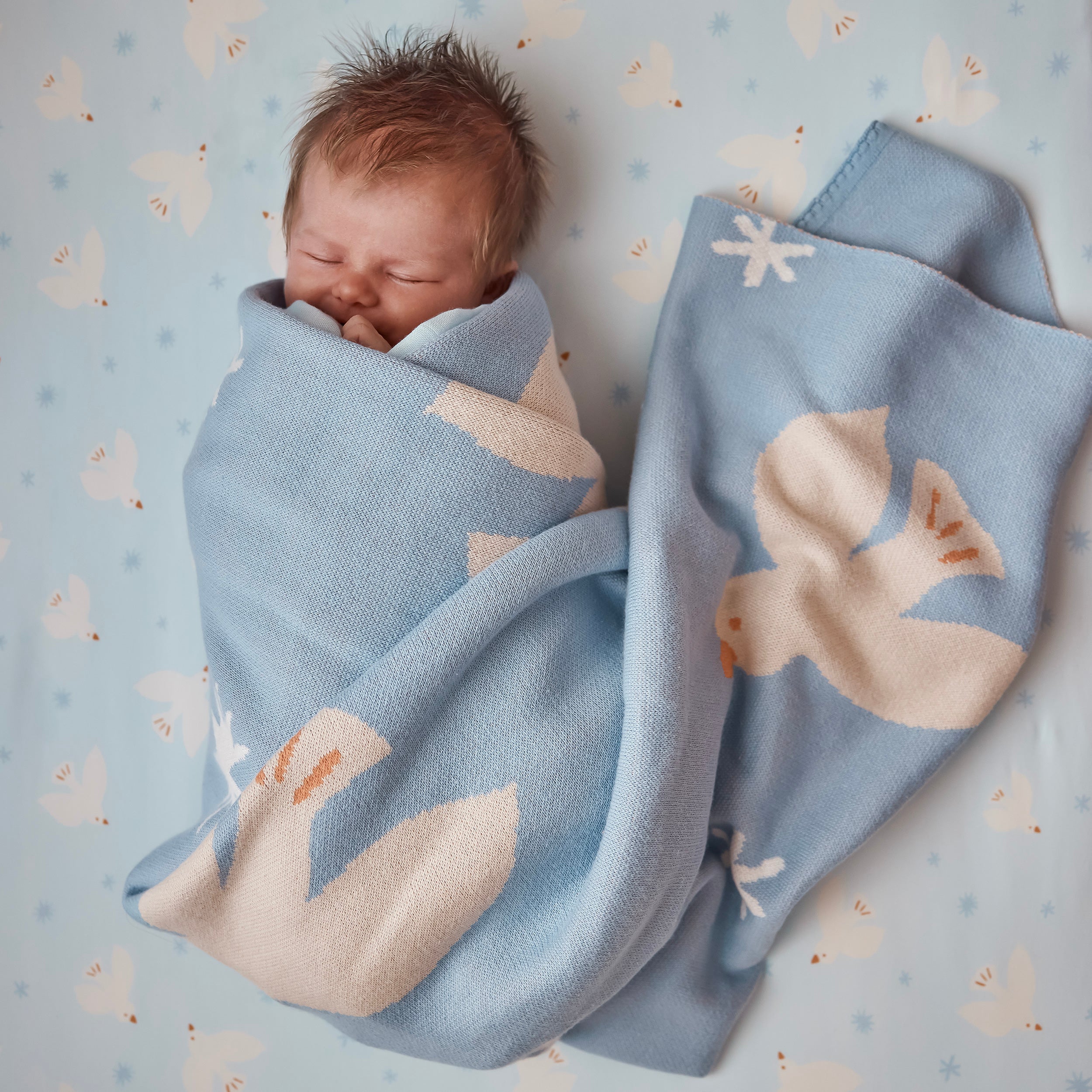Blue Doves Blanket