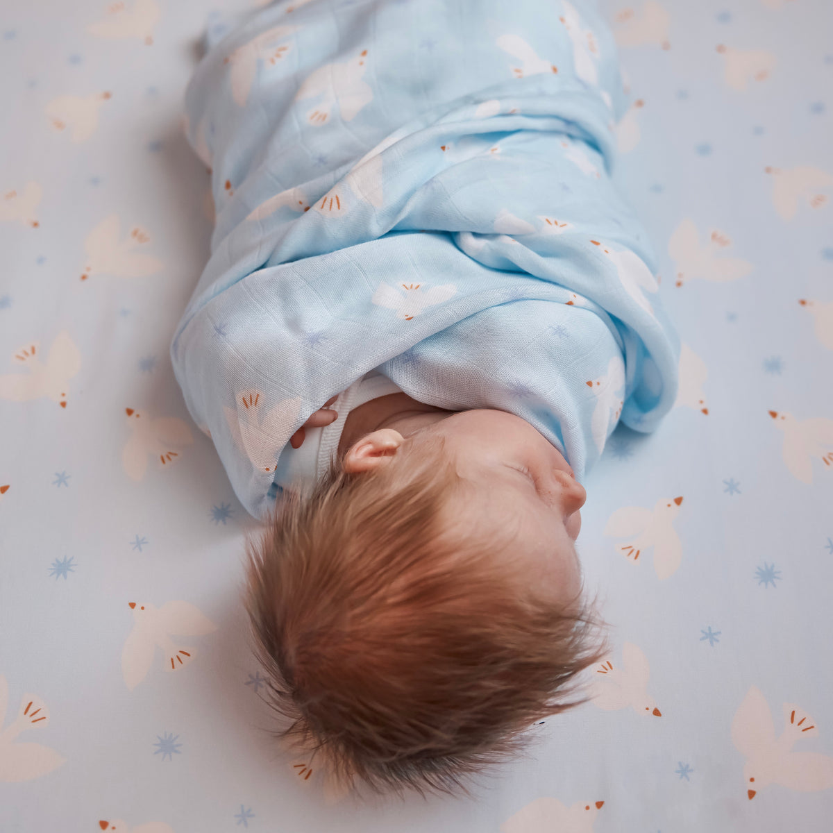 Blue Doves Organic Fitted Cot Sheet