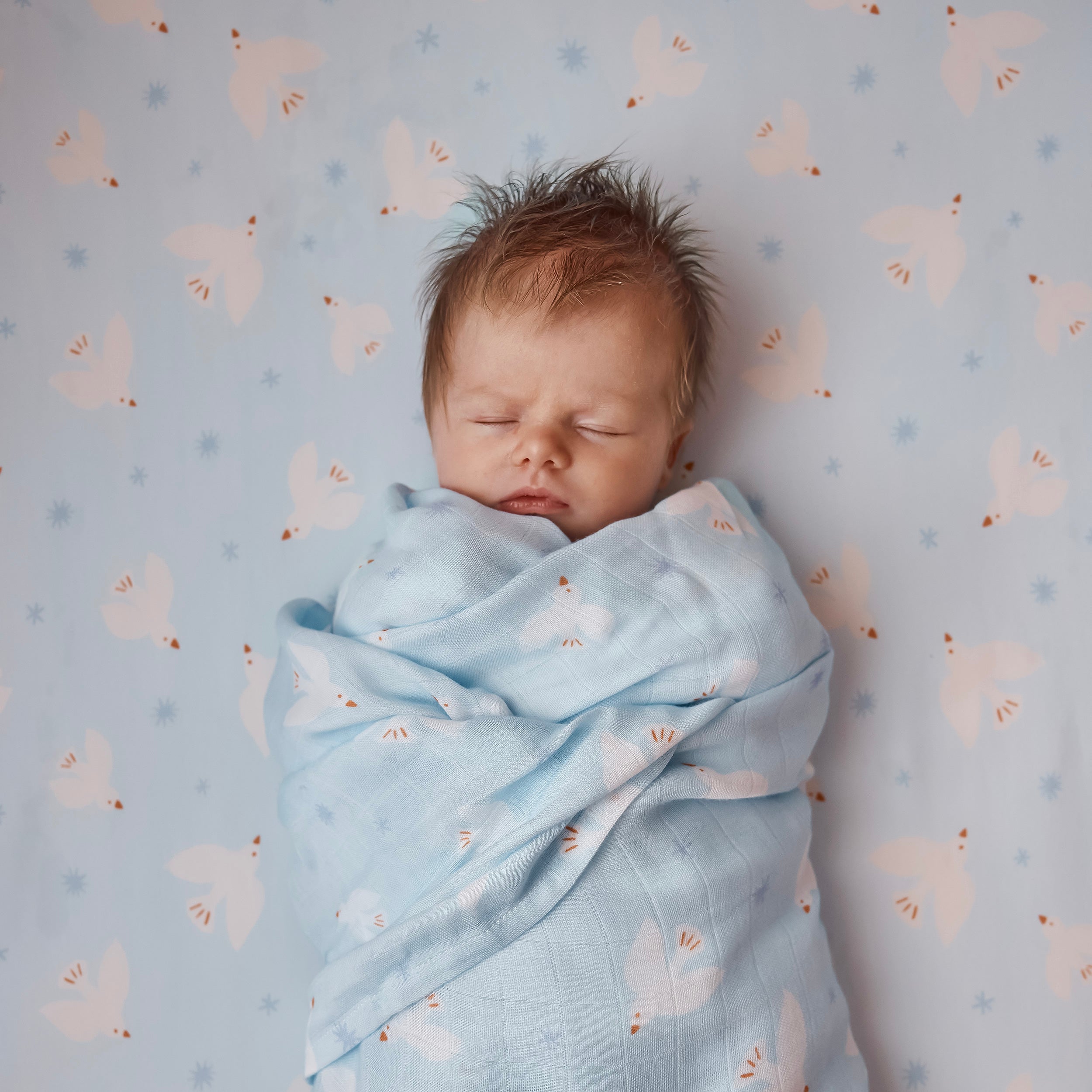 Blue Doves Organic Fitted Bassinet Sheet/Change Pad Cover