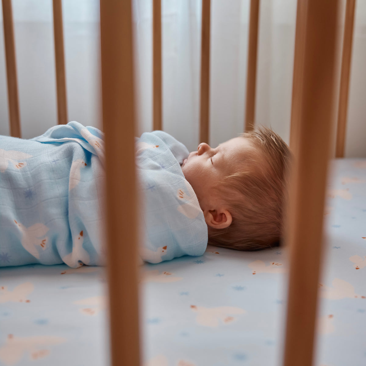 Blue Doves Organic Fitted Cot Sheet