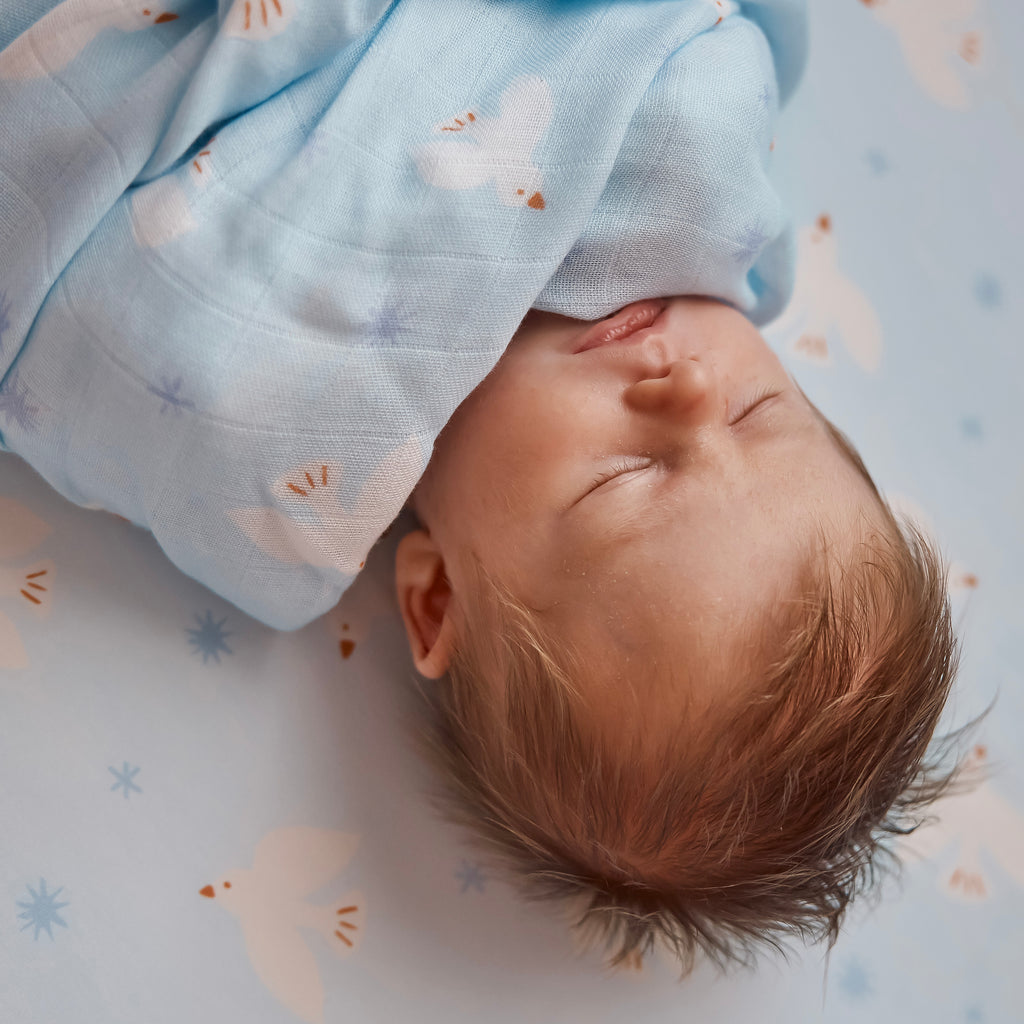 Blue Doves Organic Fitted Cot Sheet