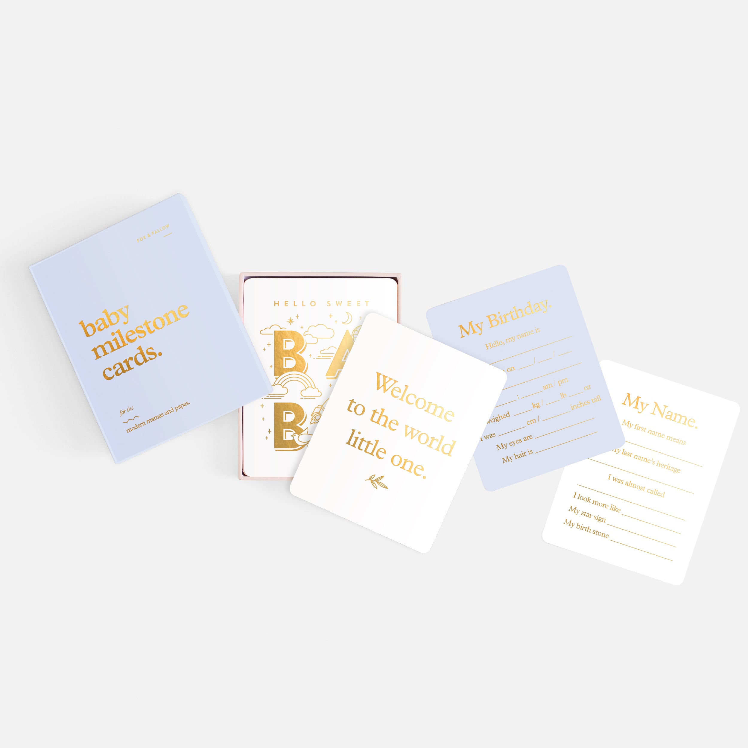 Baby Milestone Cards Powder Blue