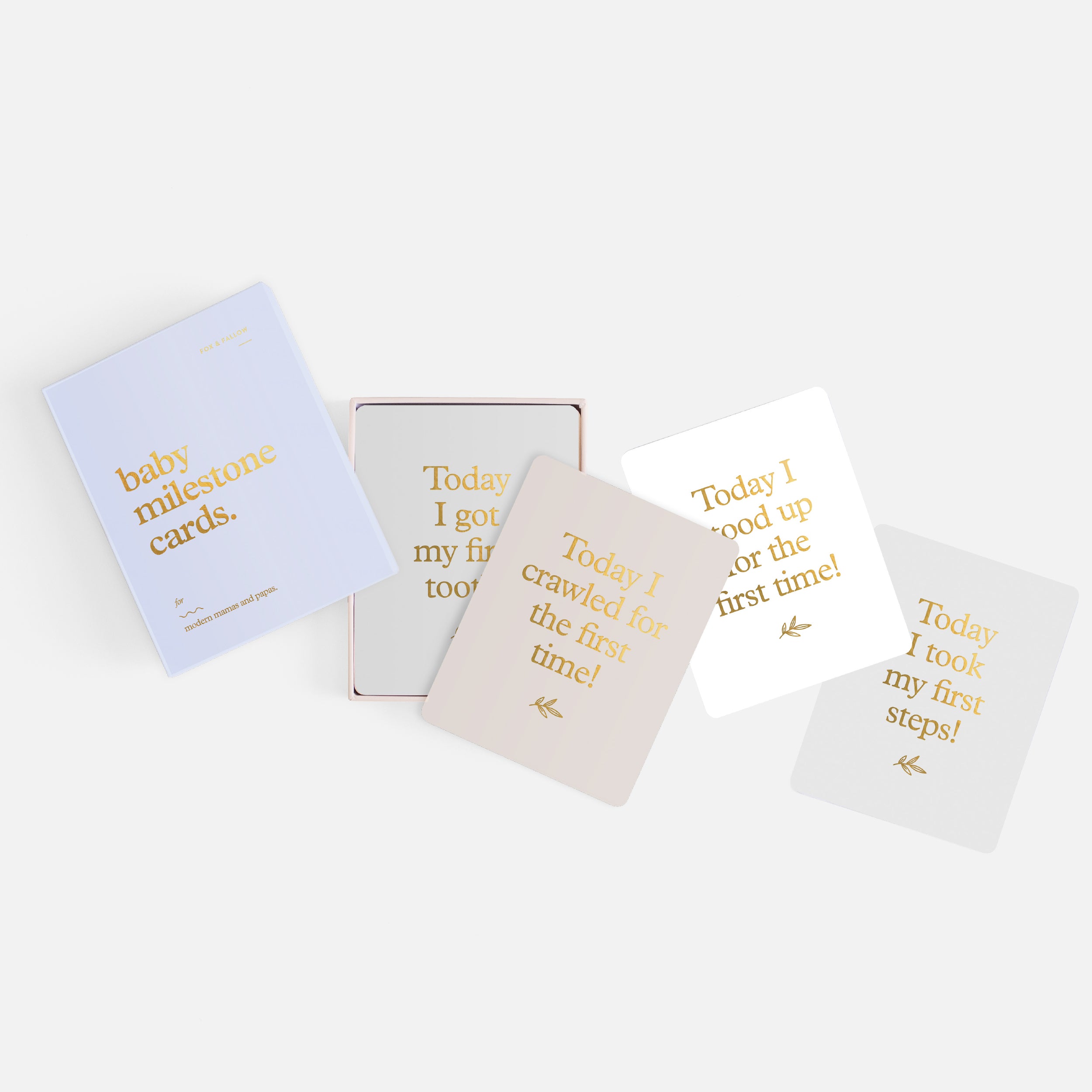 Baby Milestone Cards Powder Blue