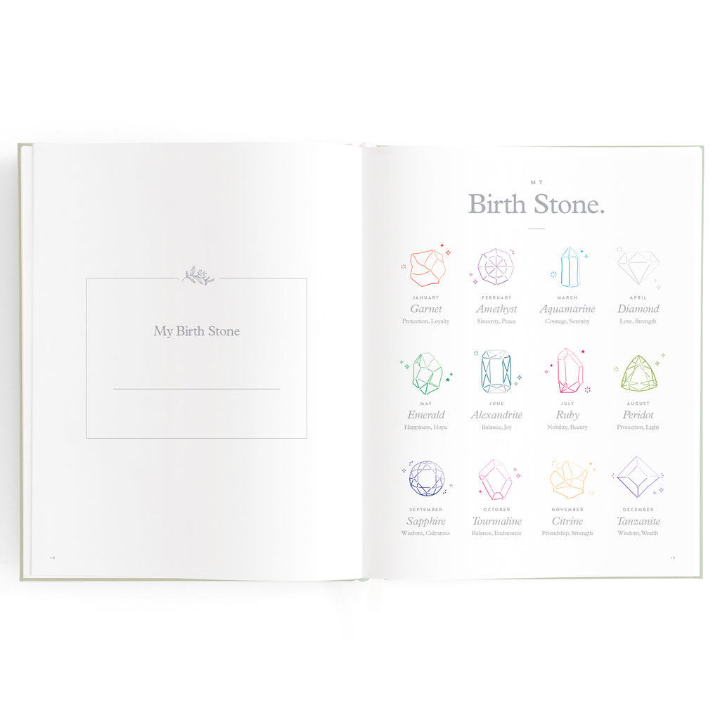 Baby Book Blue Ducks - 3rd Edition - PRE-ORDER (MARCH)