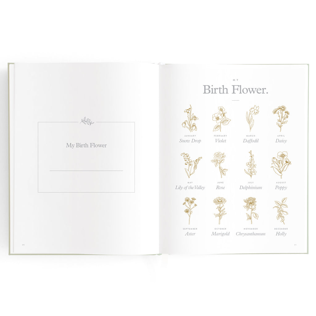 Baby Book Pistachio Boxed - 3rd Edition