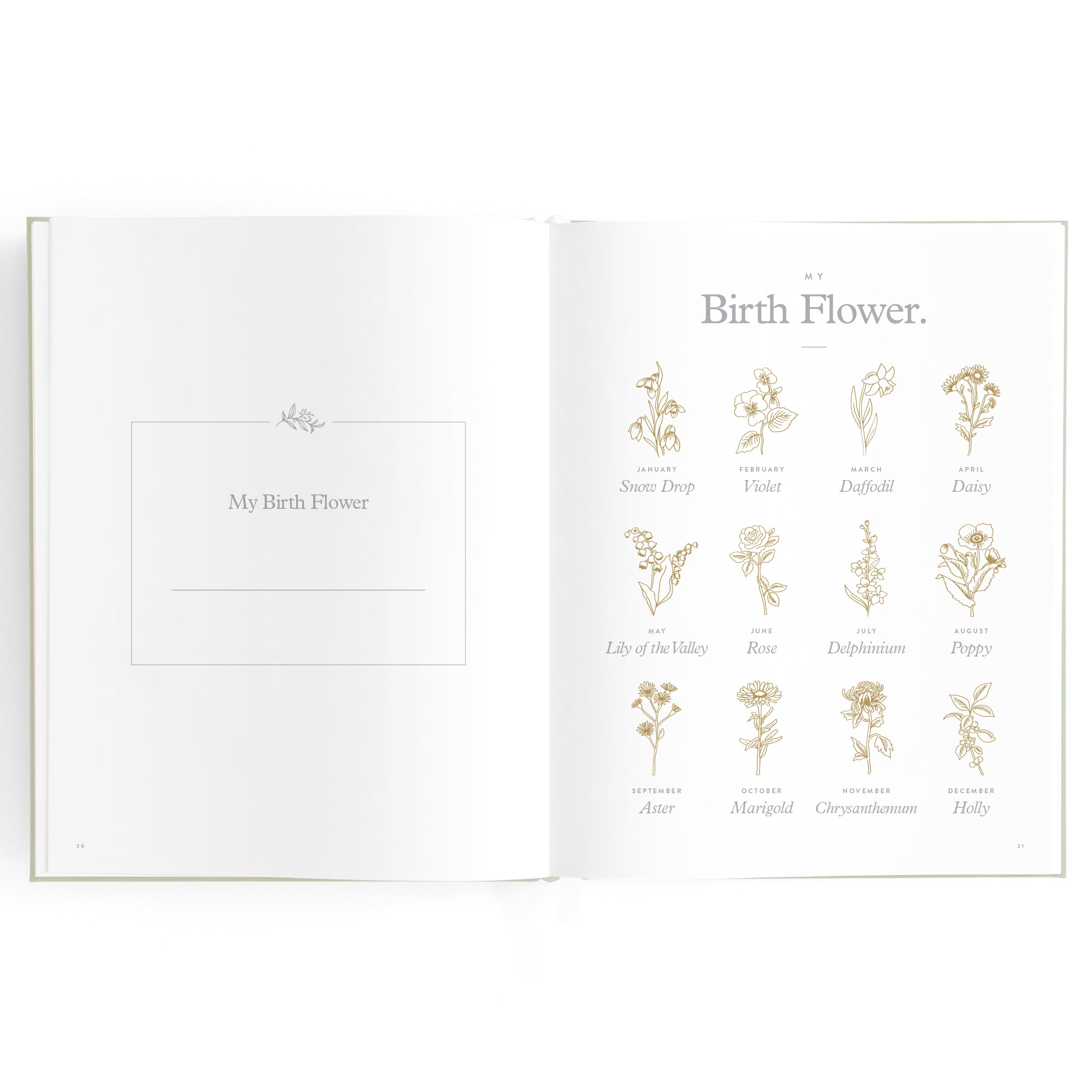 Baby Book Blue Ducks - 3rd Edition - PRE-ORDER (MARCH)