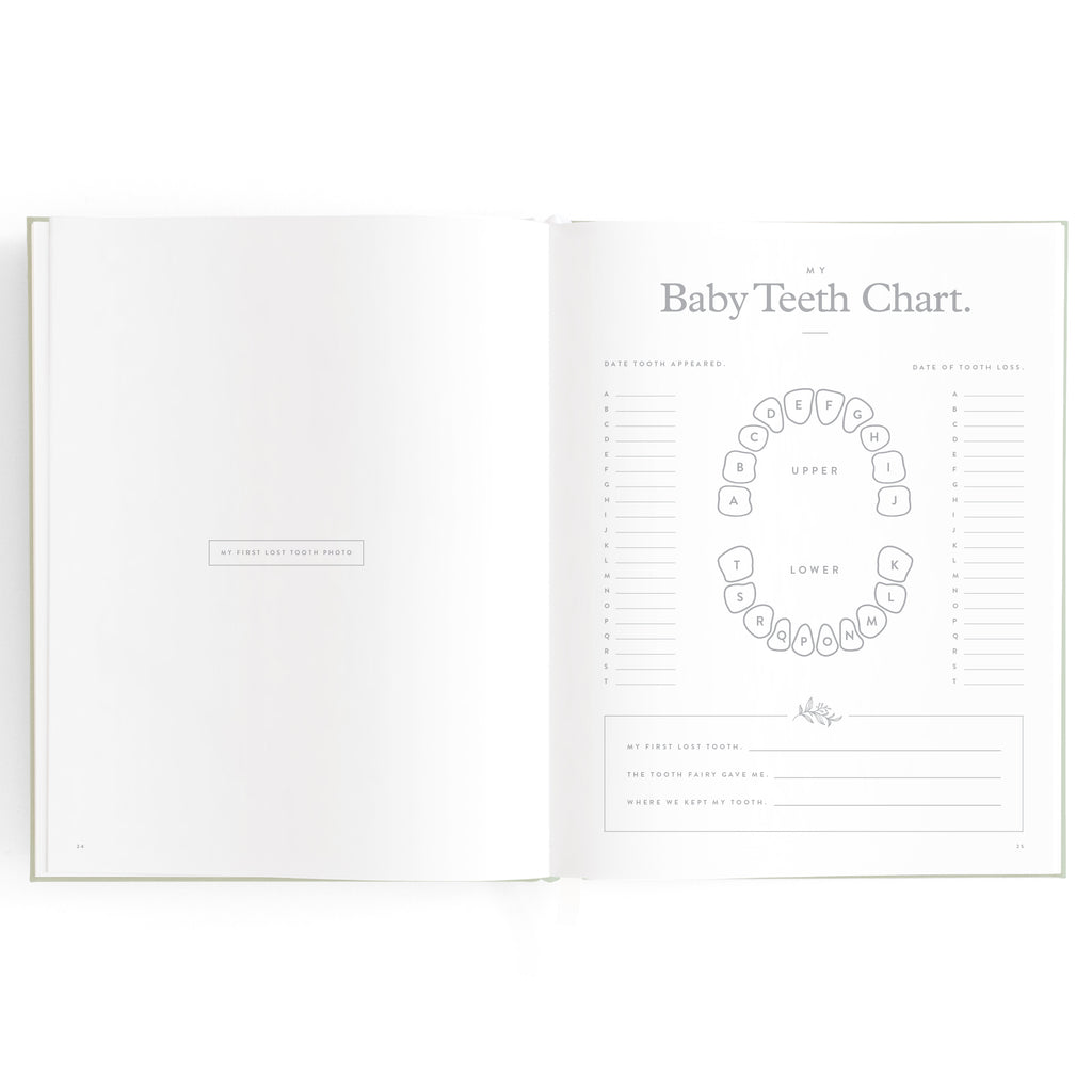 Baby Book Pistachio Boxed - 3rd Edition