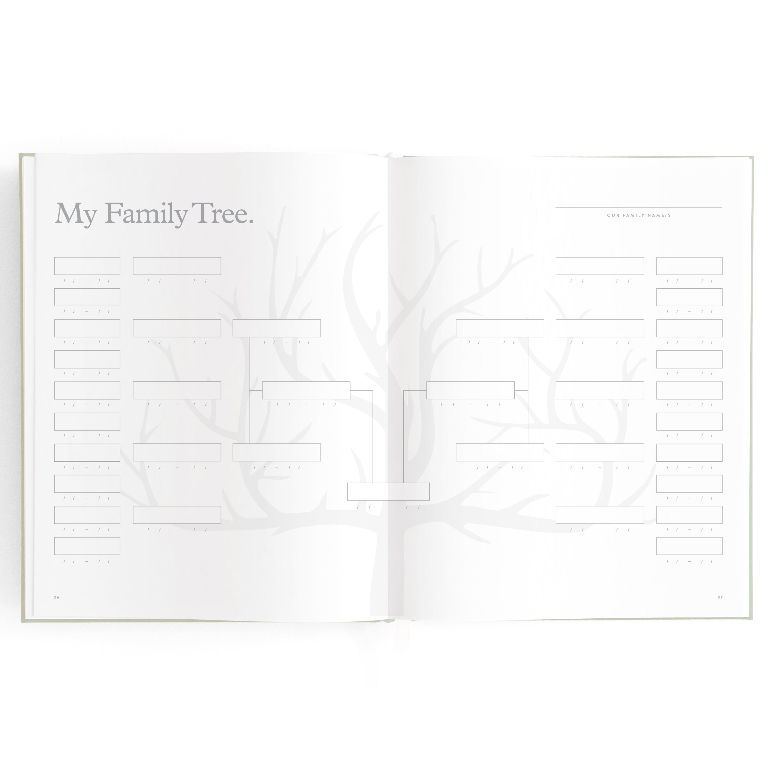 Baby Book Pistachio Boxed - 3rd Edition